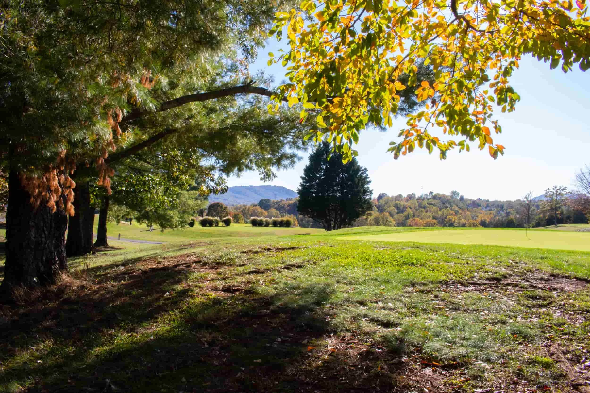Penn Park