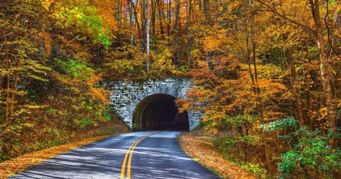Best Scenic Drives