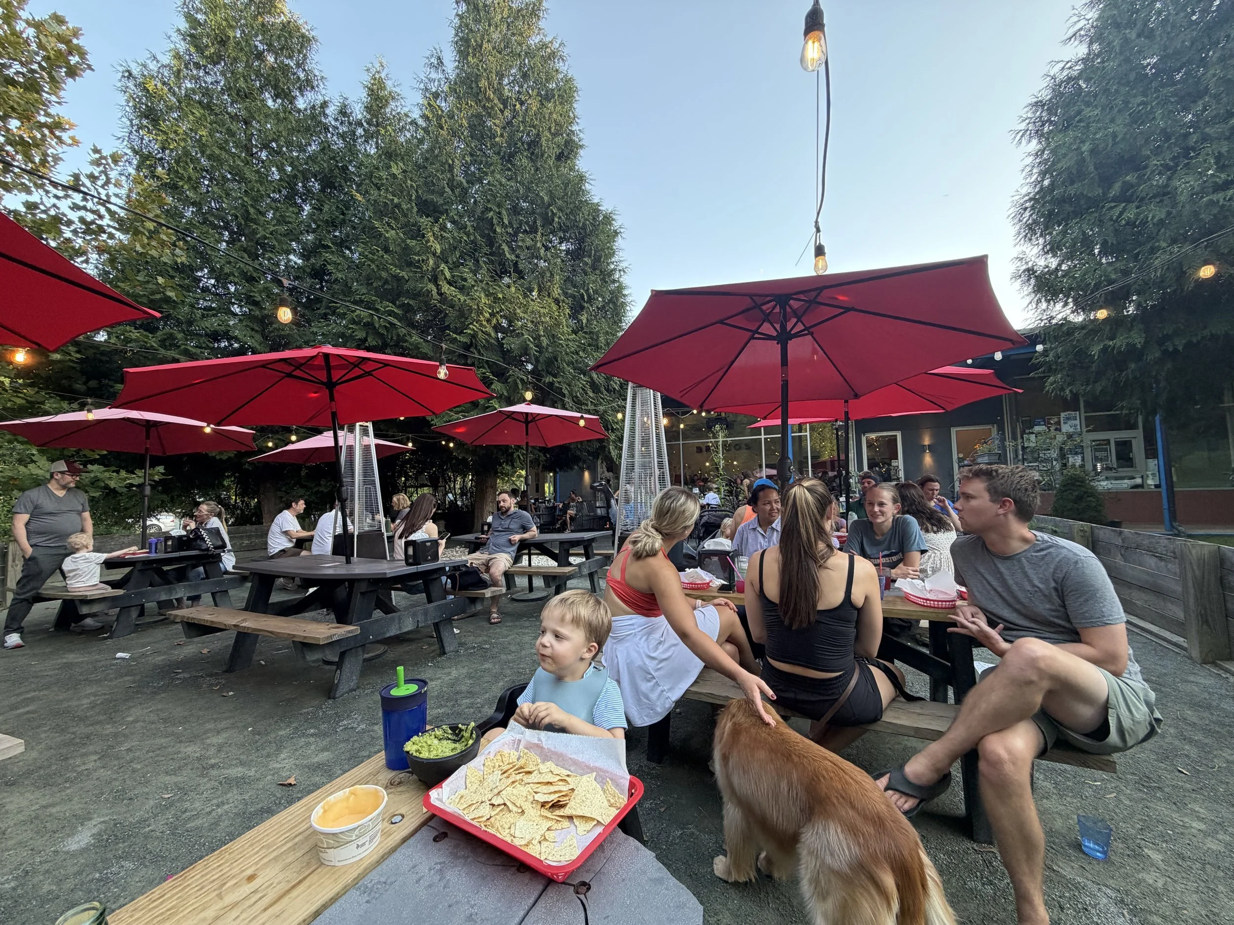 Brazos Tacos & Brazos Taco Bar