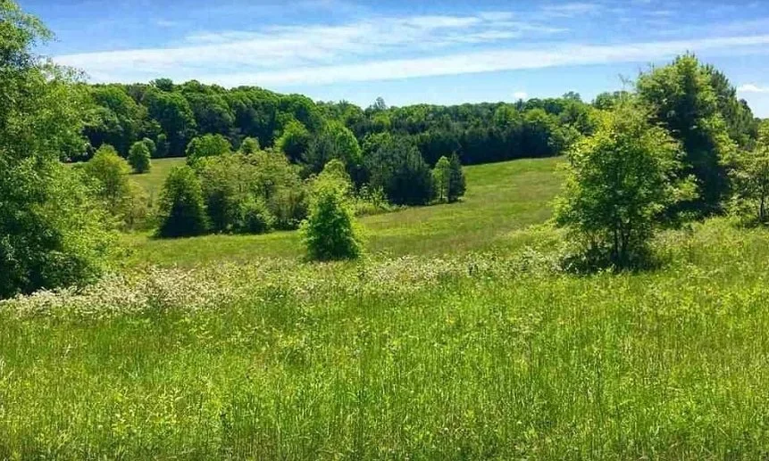 Blenheim Rd Lot: 2A, Scottsville, VA 24590
