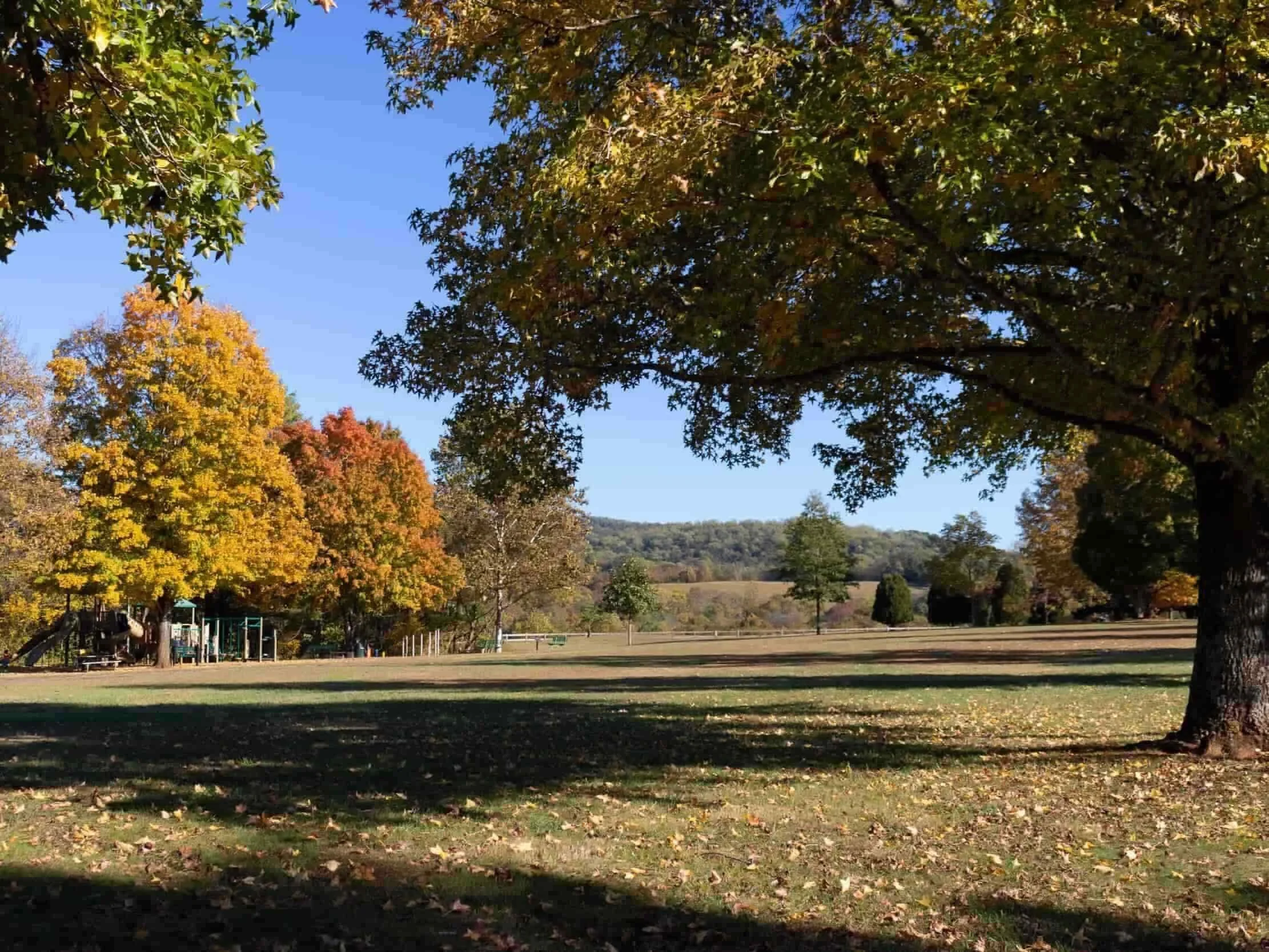 Pen-Park