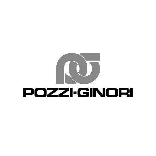 Pozzi -Ginori