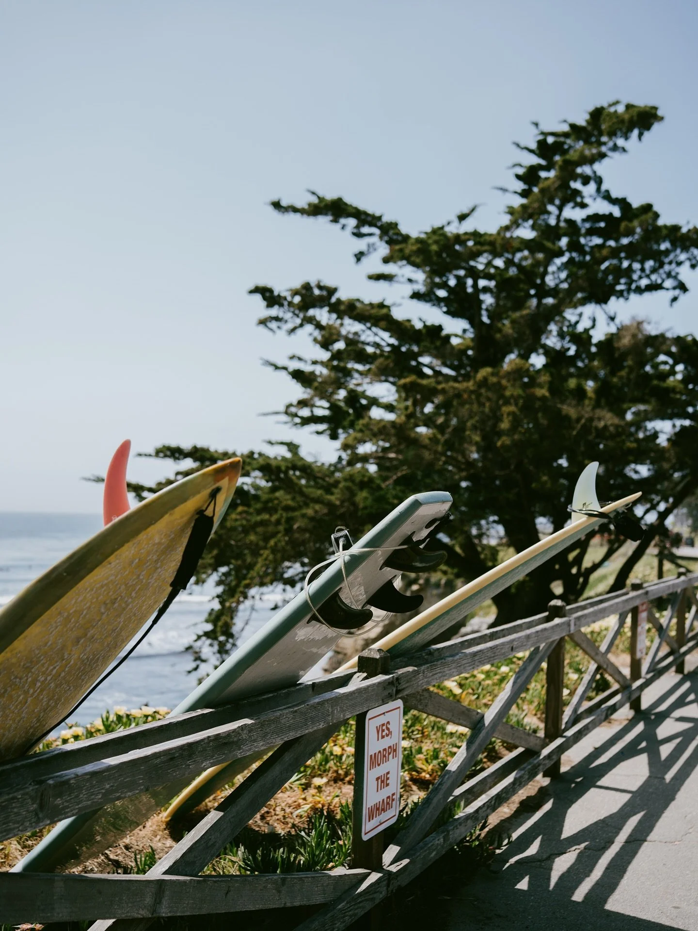 Les surfers du Golden Gate 🌊🌁
.
.
.
.
.
#surfsf #surfsanfran #sanfrancisco #goldengatebridge #travelingphotographer #tourismedaventure #photographietouristique #tourismphotography #tourismphotographer #adventurephotographer #adventure #internationa