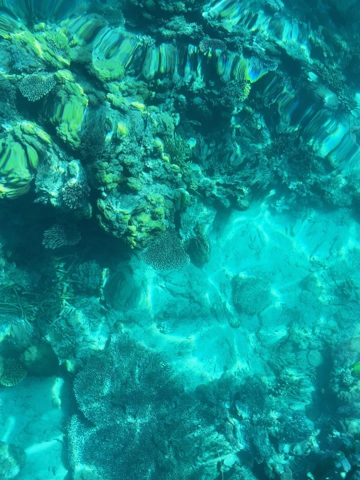 Island vibes 🐚🫧🏝️
.
.
.
.
.
#philippinesvibes #islandlife #visitthephilippines