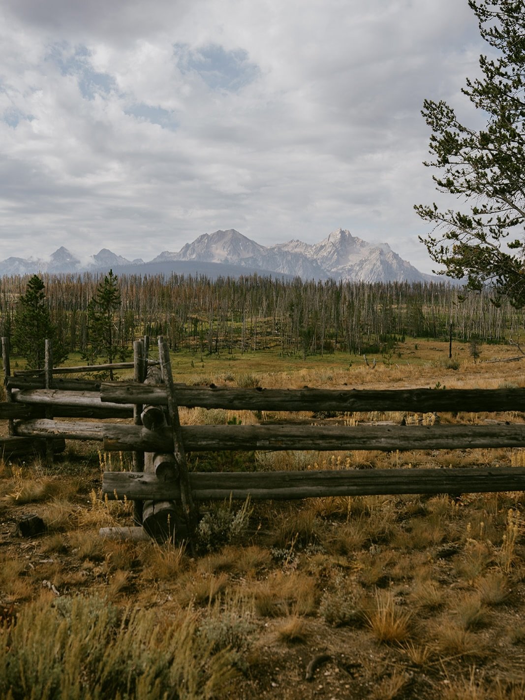 2025, entre voyages et projets professionnels 💫
Merci &agrave; vous tous, pr&eacute;sents ou non dans ce tr&egrave;s bref r&eacute;sum&eacute;, pour votre confiance r&eacute;p&eacute;t&eacute;e, votre pr&eacute;sence et votre complicit&eacute;.
Chee