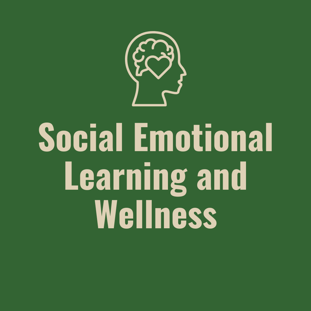 SOCIAL EMOTIONAL LEARNING AND WELLNESS