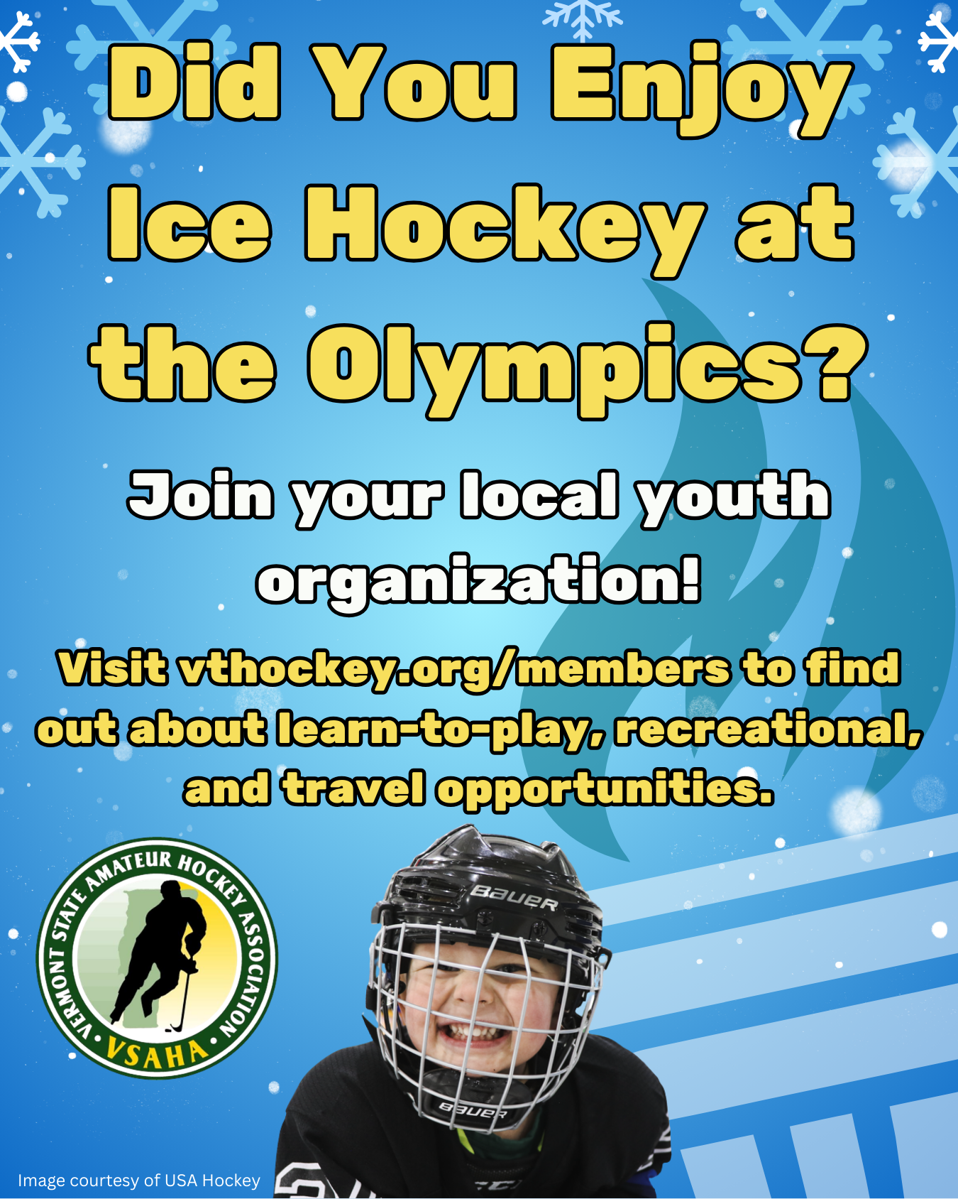 VSAHA Olympics Flyer.png