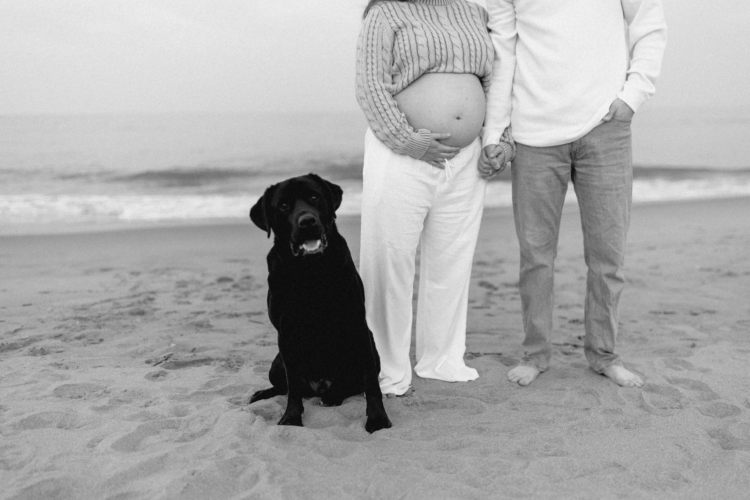 couple stands on beach with waves in background. woman holds pregnant belly and black lab dog sits next to them.