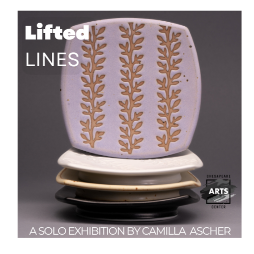 Gallery Reception with Artist Camilla Ascher