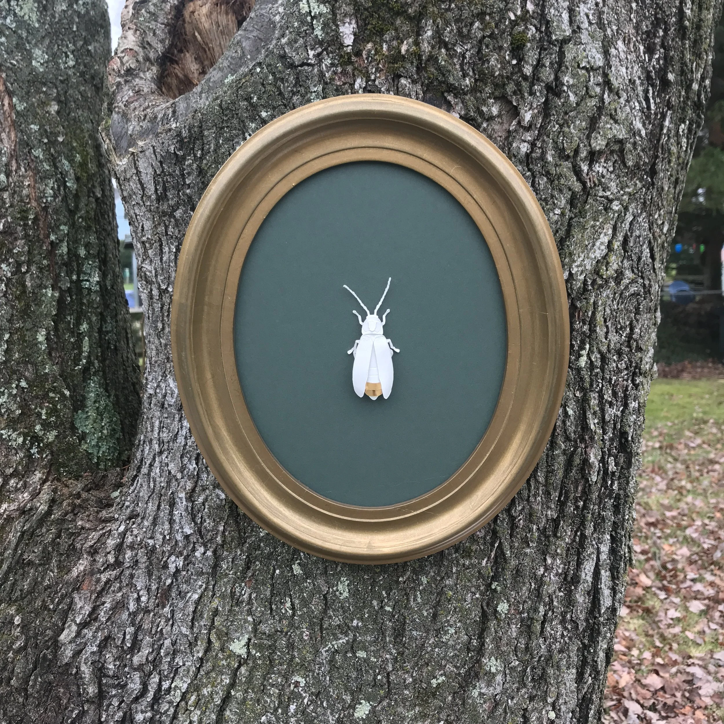 SantaAna_Firefly_9.5x11.5 - Katherine Santa Ana.JPG