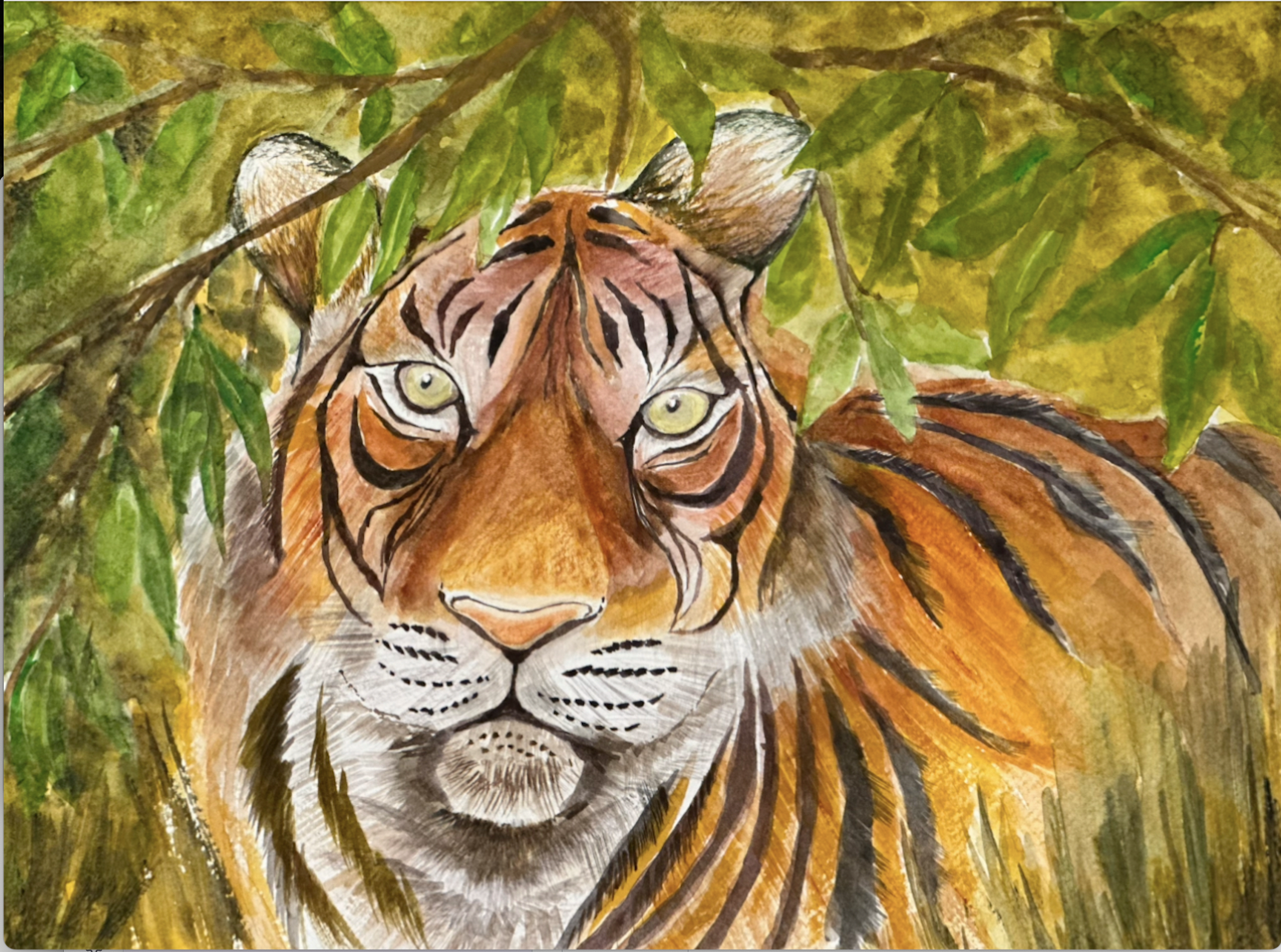 Endangered_2_Tiger - Nitish Thakor (1).png