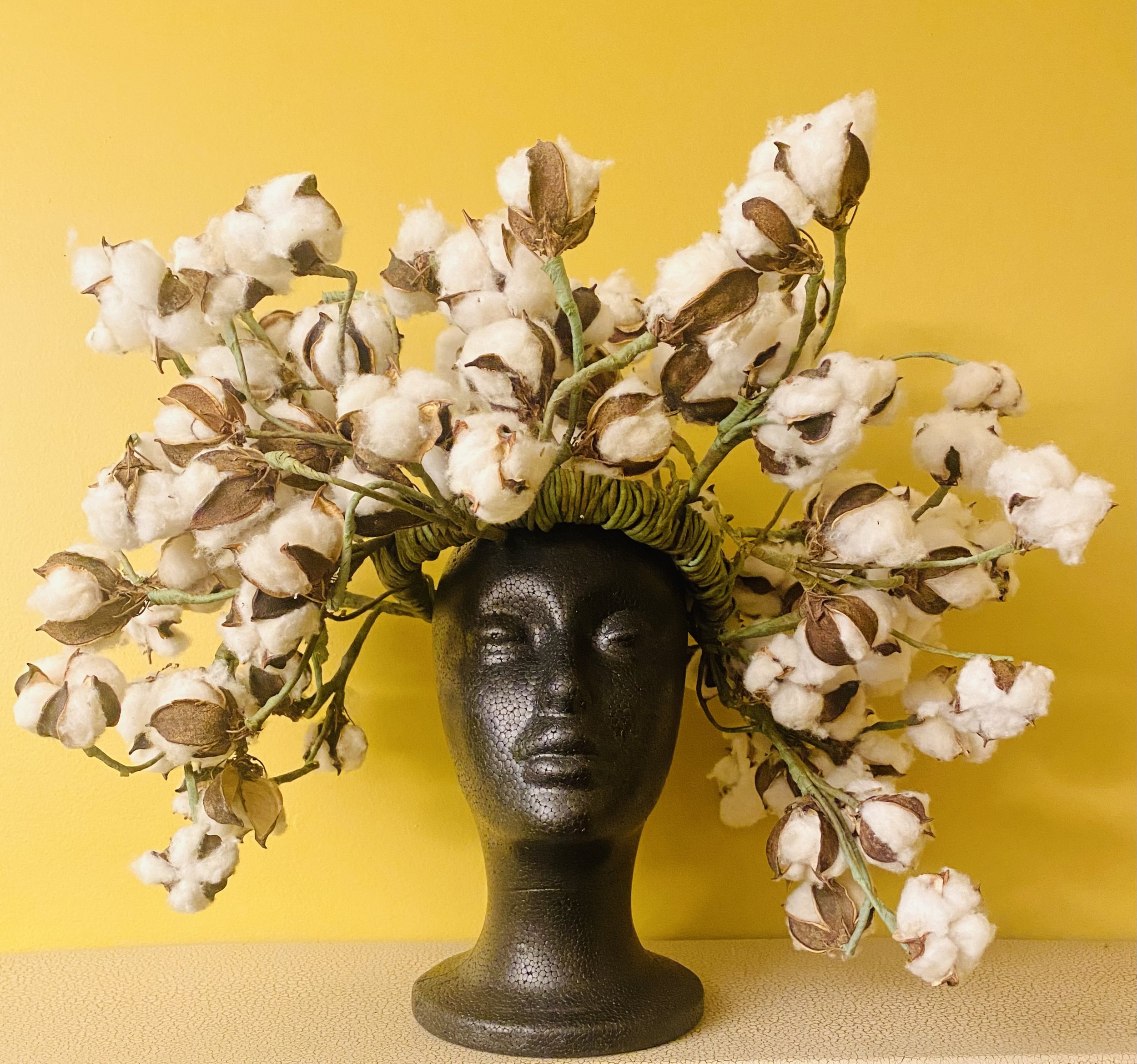 QUEEN OF THE FIELD (1).jpg