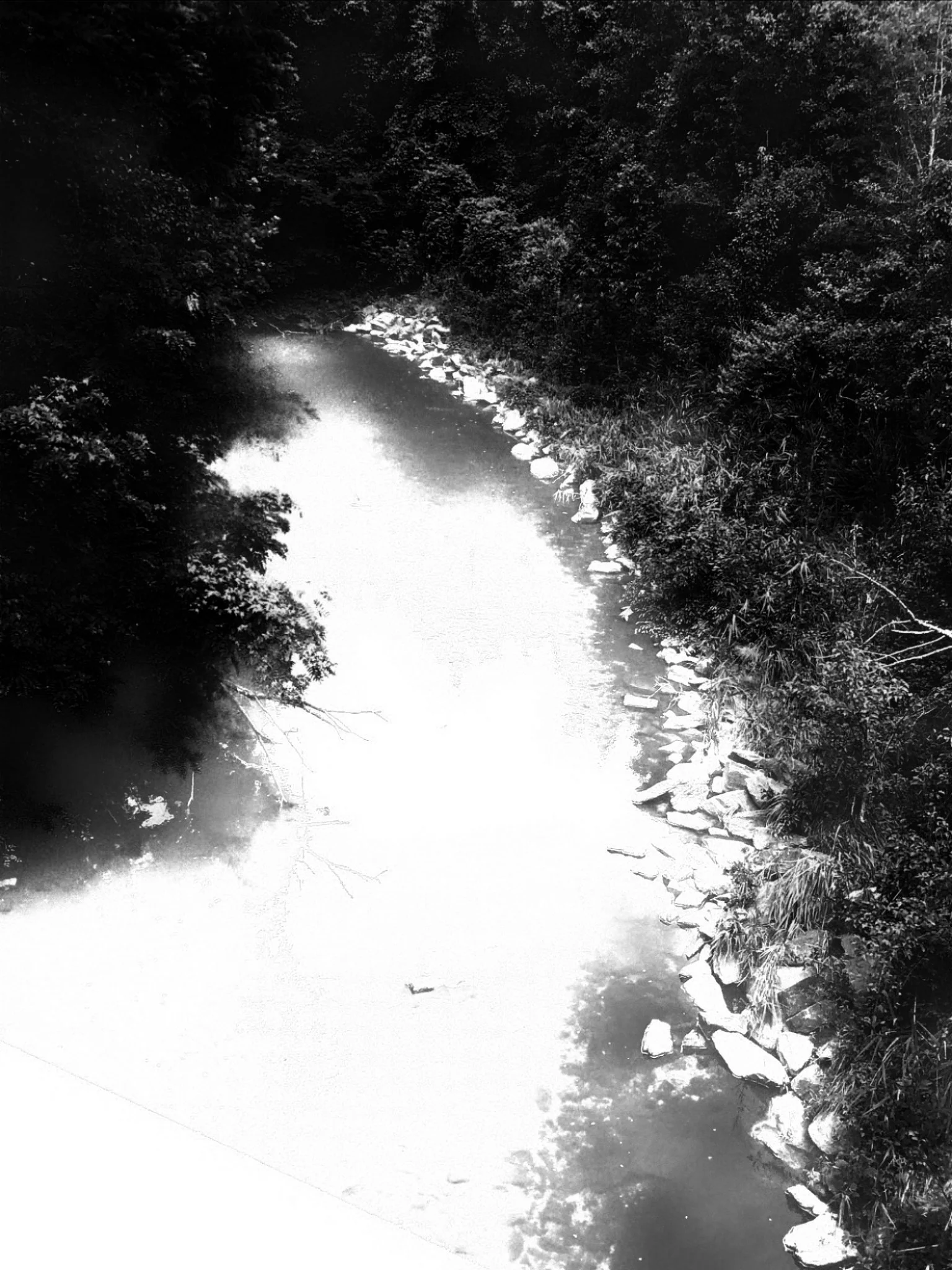 Getaway(Take Me Away) B&W Version - Derrick Whaley (1).jpg