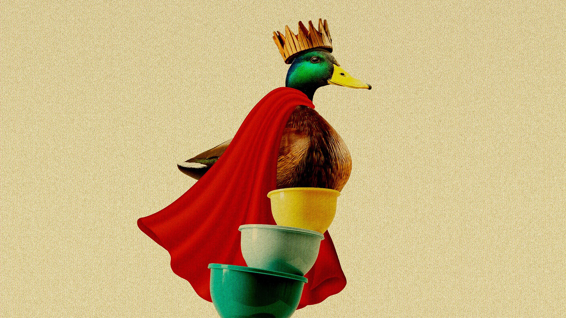 THE MALLARD