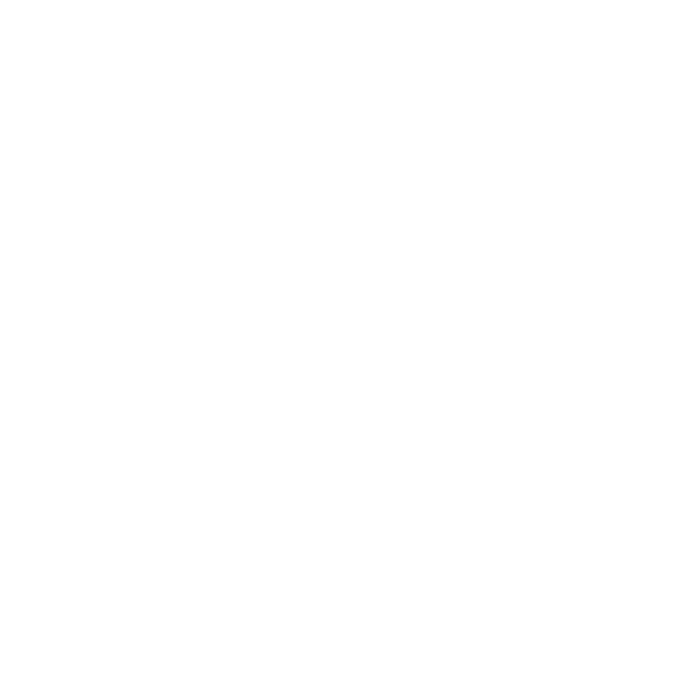 RiccoPWorkouts-FullWhiteIcon-WithText.png