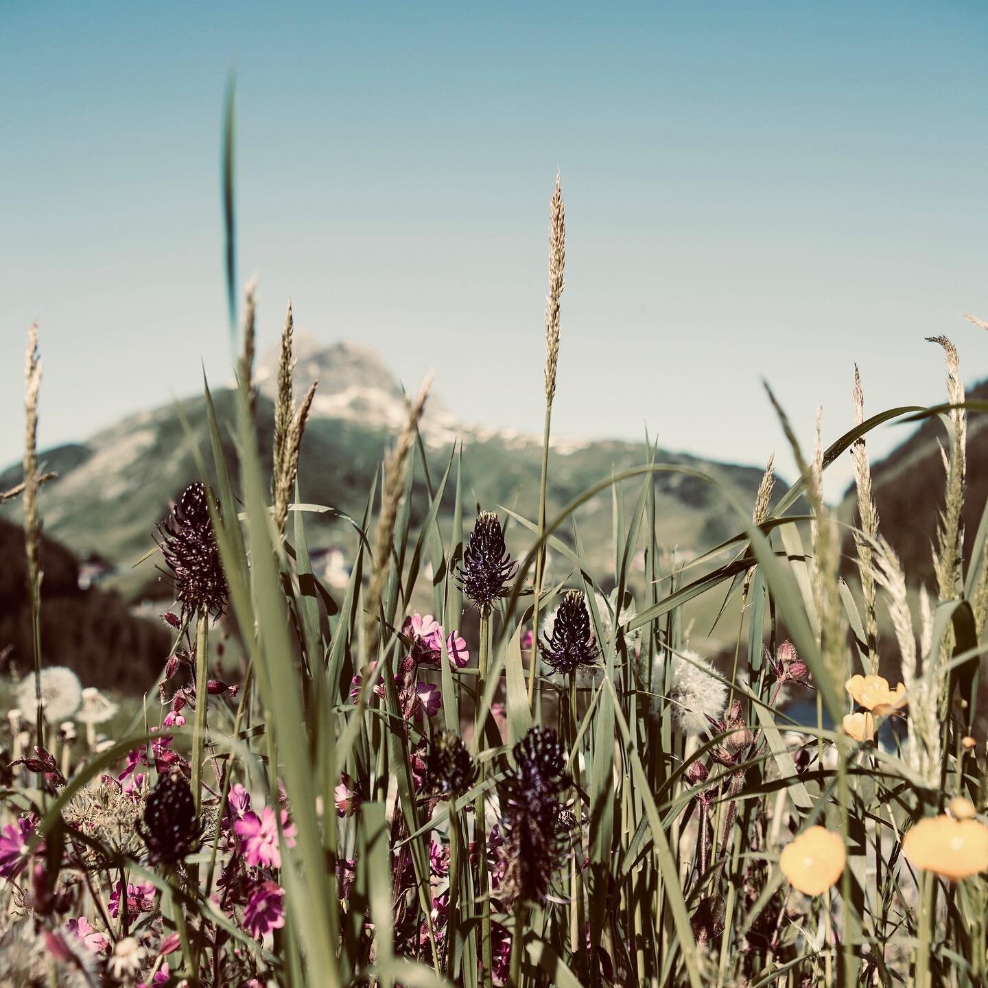 schon was vor am wochenende? 
wir haben: gro&szlig;artiges wetter - und kurzfristig noch zimmer frei! lust auf eine spontane auszeit? buchen! kommen! #hideeatsleep #visittirol #visitvorarlberg #arlberg #endlichurlaub #allesunwichtigebleibtimtal