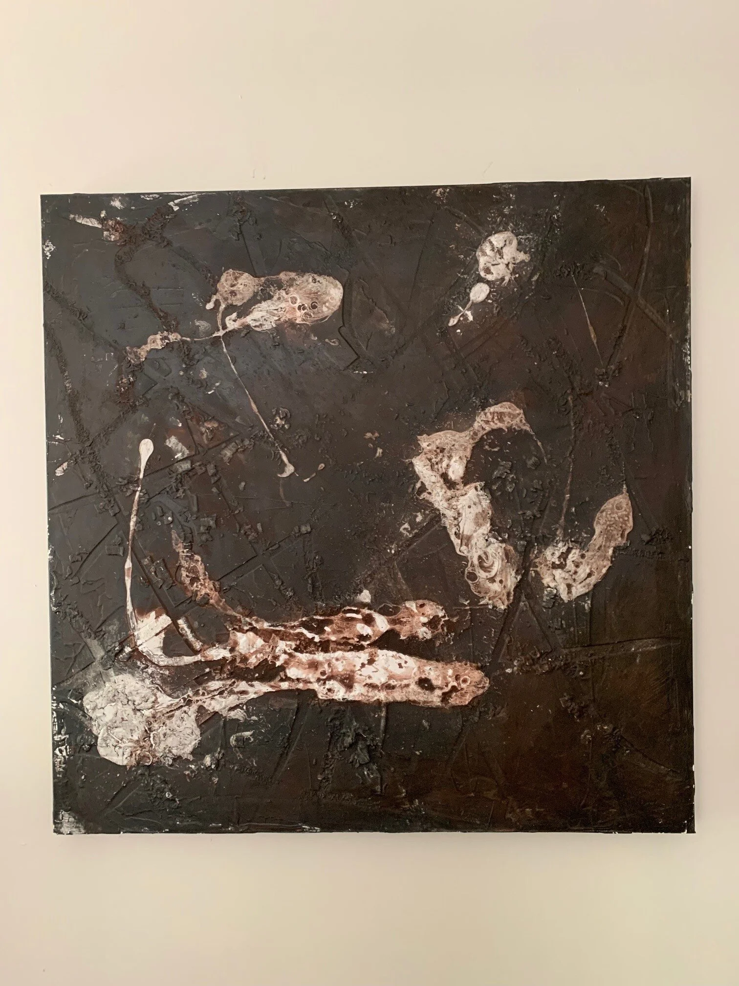 Revolution or Evolution 36 x 36.jpg