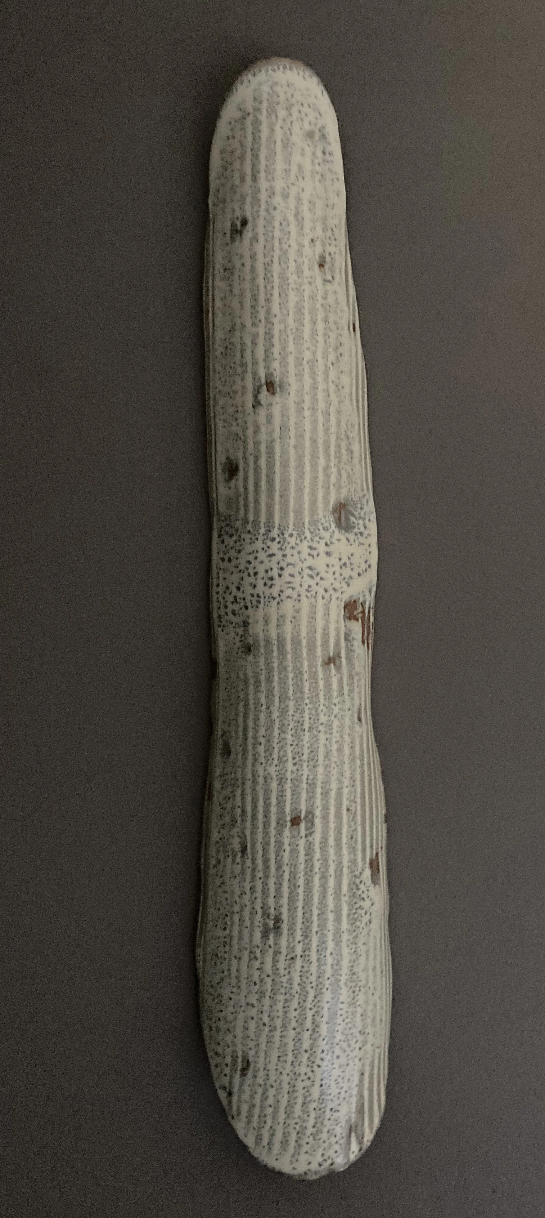 Wall Sculpture - Fossile