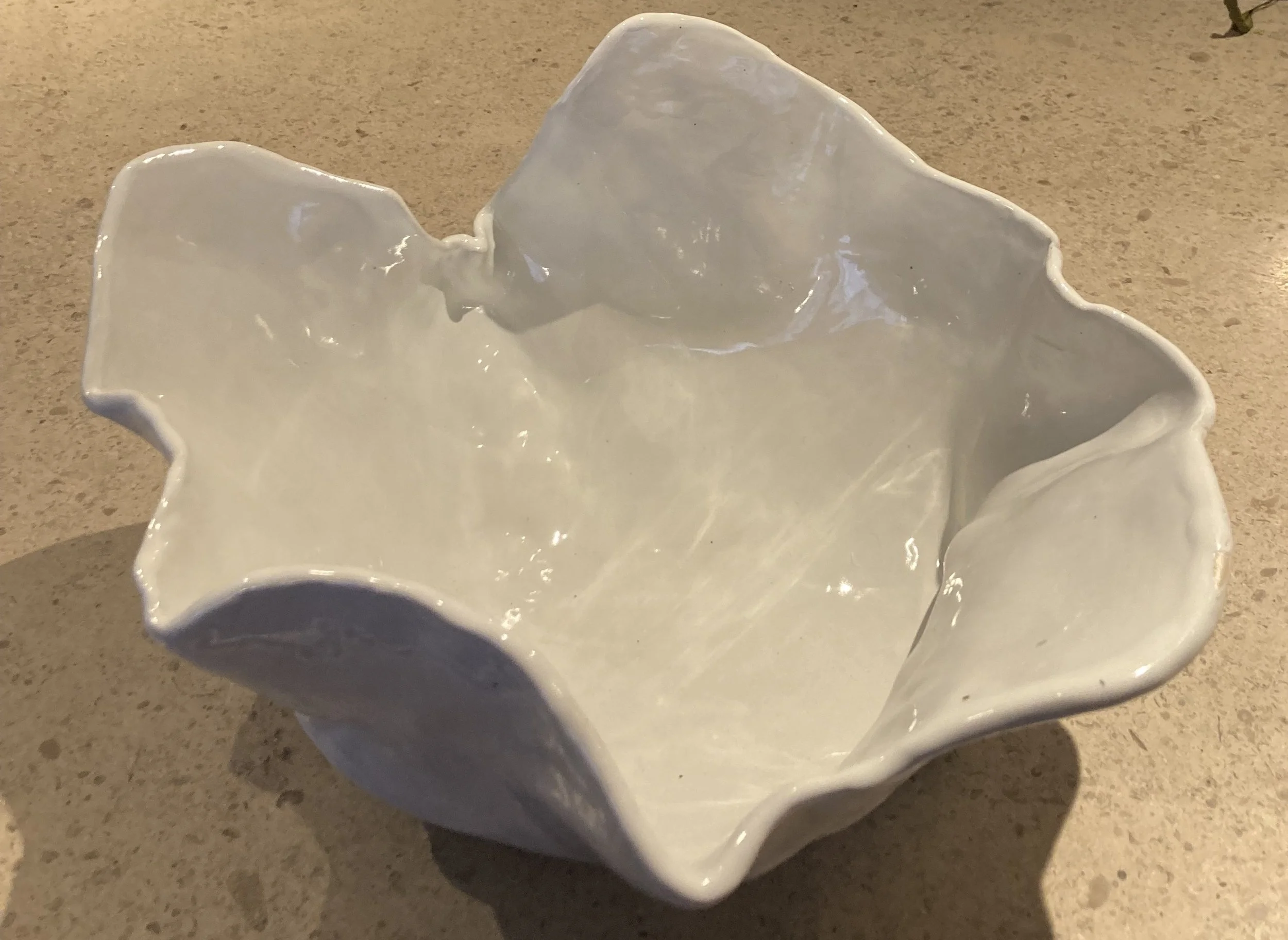 Organic Ceramic Bowl