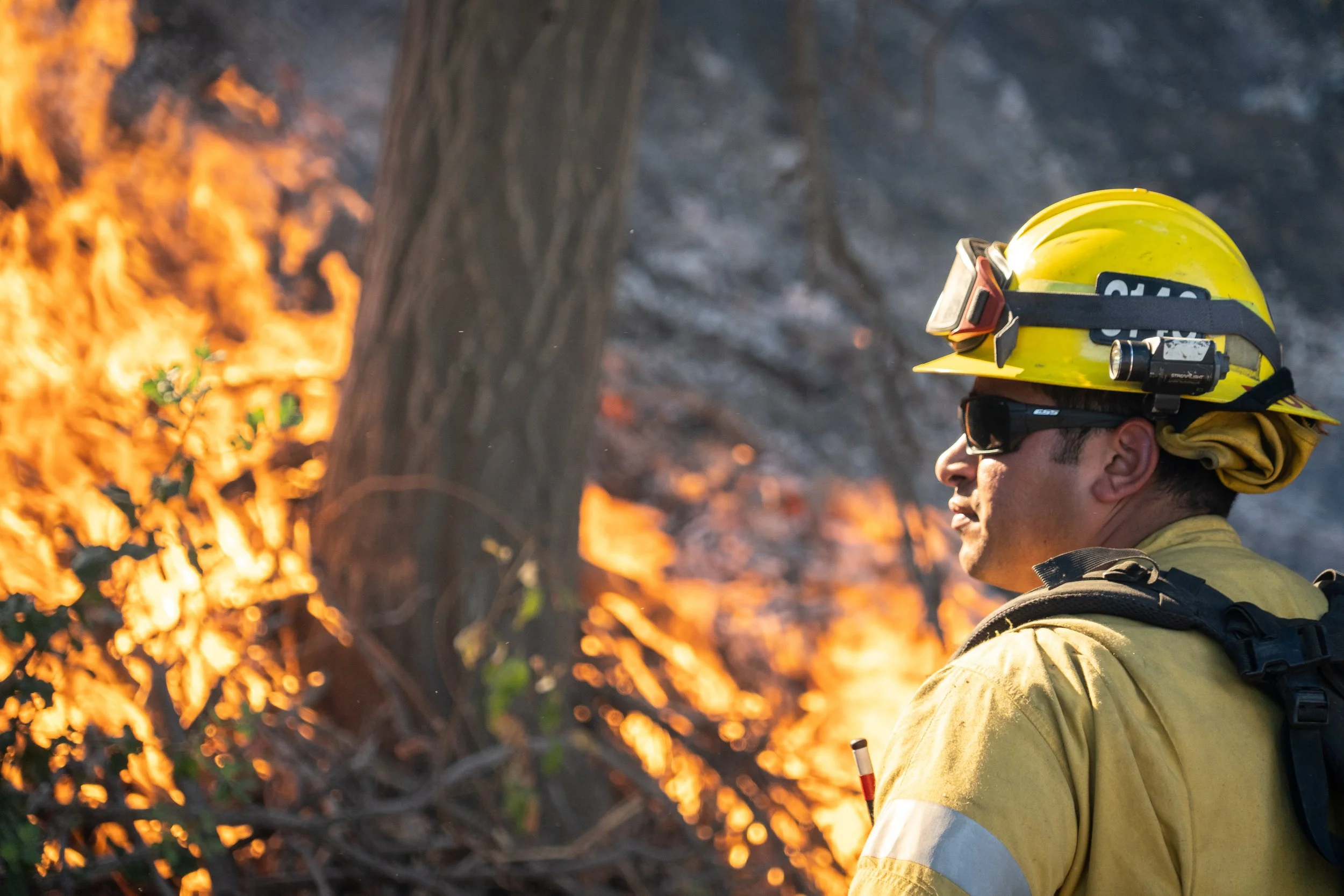  LAFD members battle the Saddleridge fire in Newhall, California. 