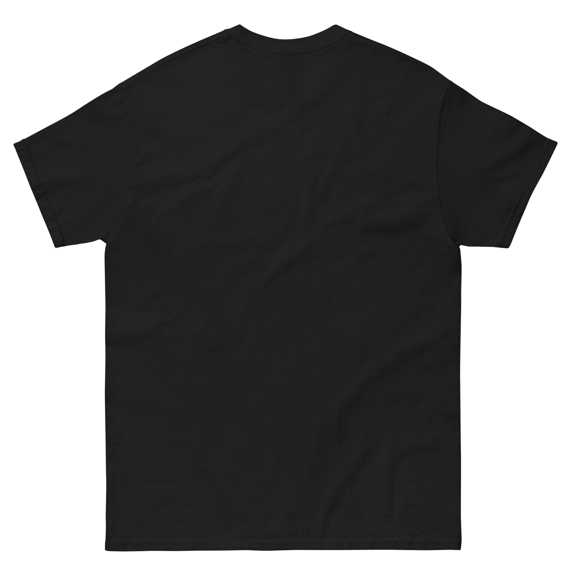 unisex-classic-tee-black-back-68c19f3a2c287.png