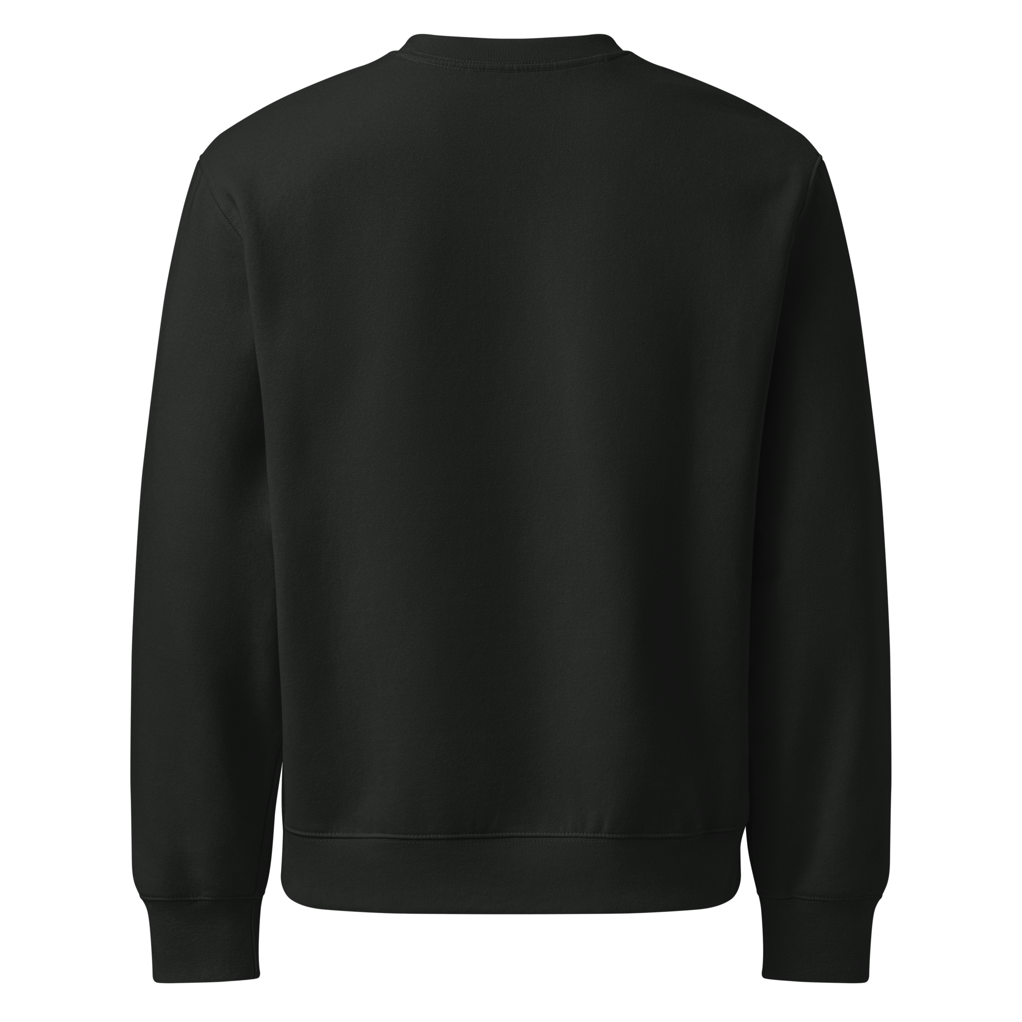unisex-oversized-heavyweight-sweatshirt-vintage-black-back-68c19f9fbe1ab.png