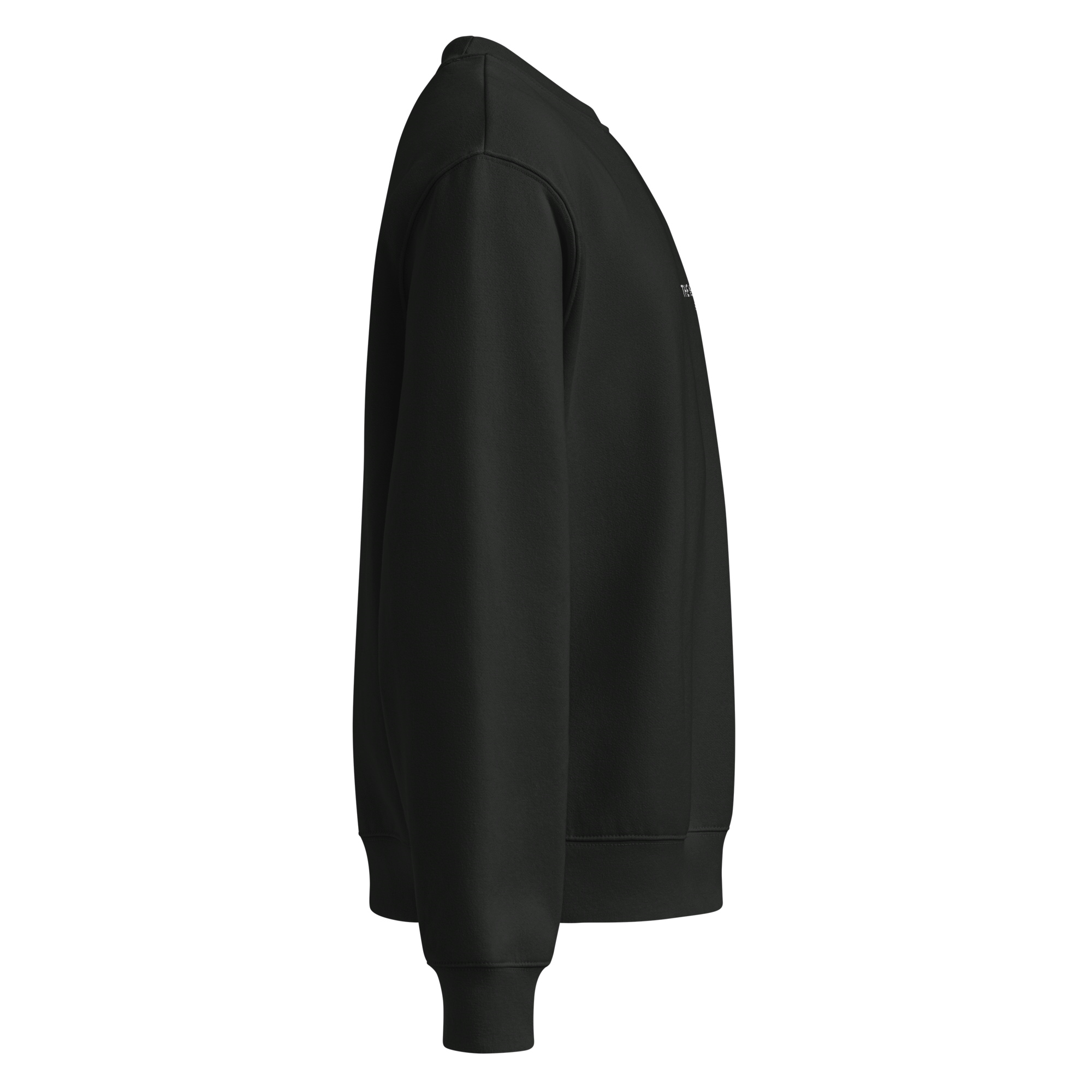 unisex-oversized-heavyweight-sweatshirt-vintage-black-right-68c1a3800ada4.png