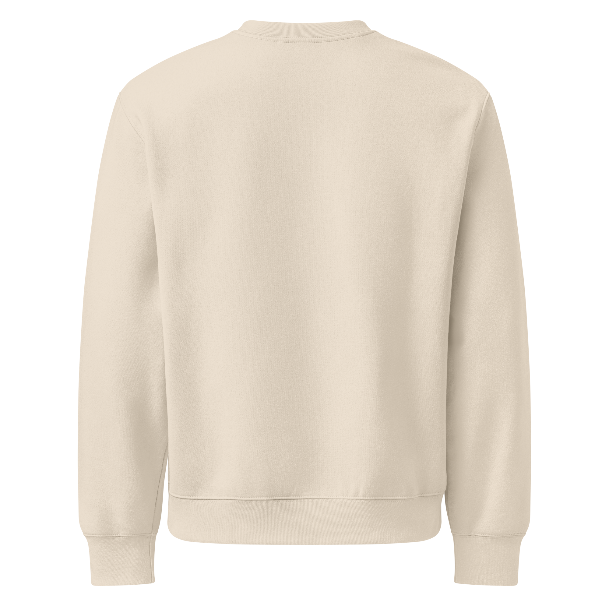 unisex-oversized-heavyweight-sweatshirt-dust-back-68c1a3800c908.png