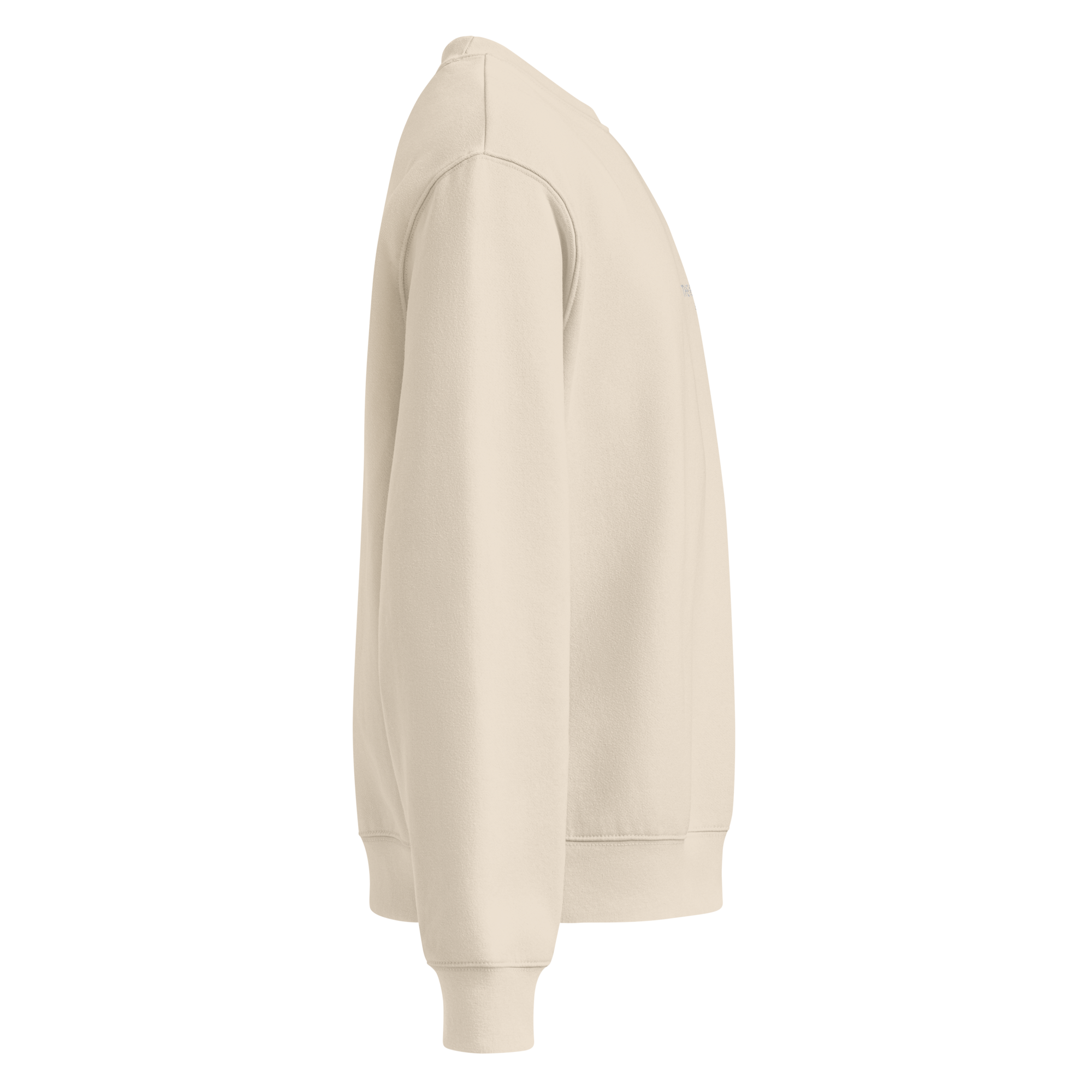 unisex-oversized-heavyweight-sweatshirt-dust-right-68c1a3800d6a2.png
