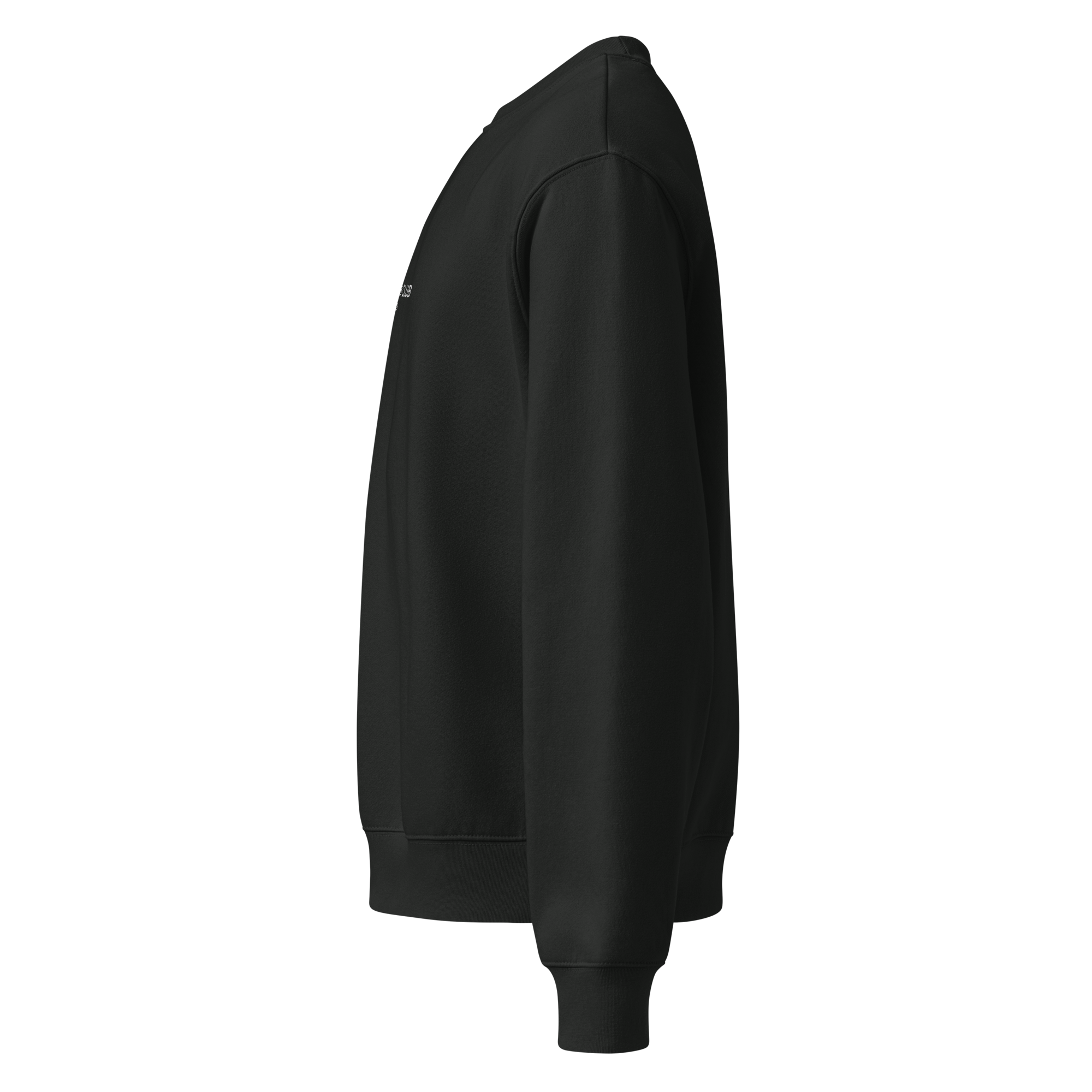 unisex-oversized-heavyweight-sweatshirt-vintage-black-left-68c1a3fbb556b.png