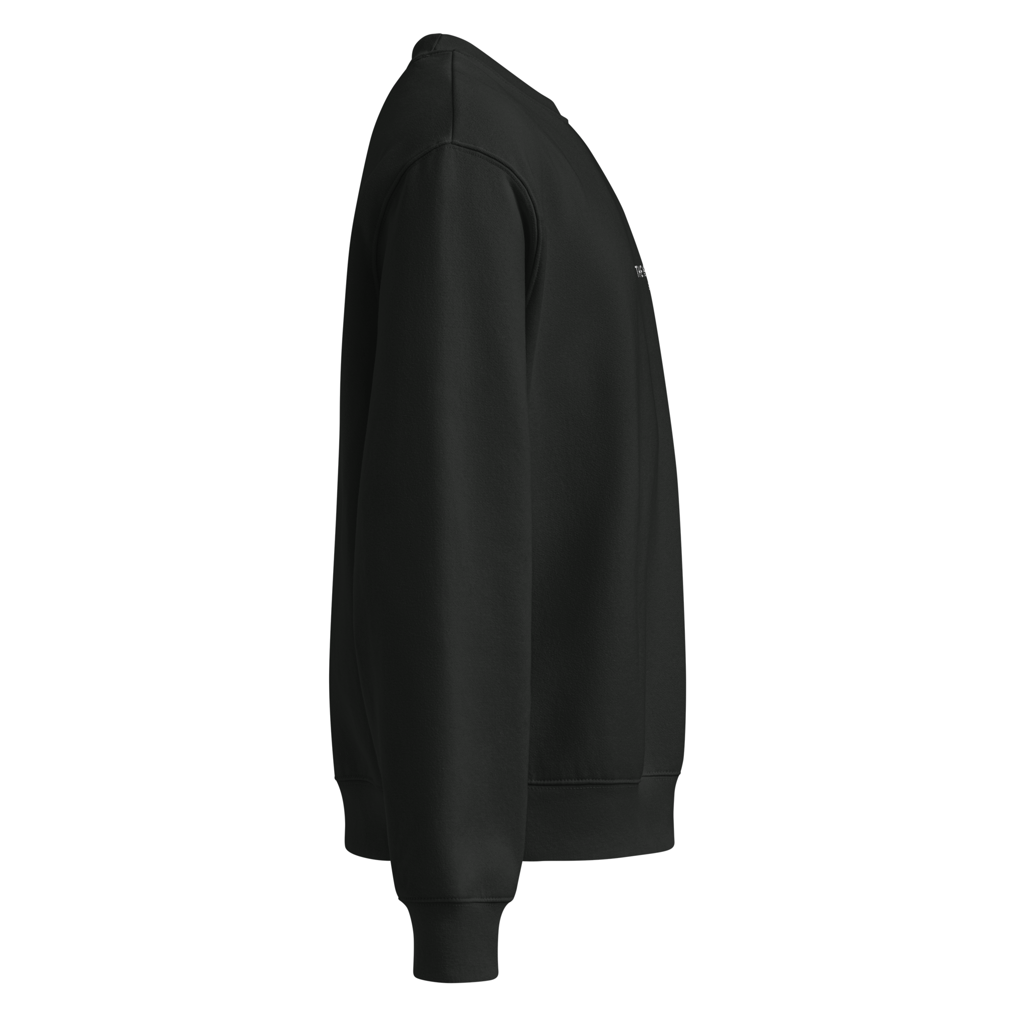 unisex-oversized-heavyweight-sweatshirt-vintage-black-right-68c1a3fbb5764.png