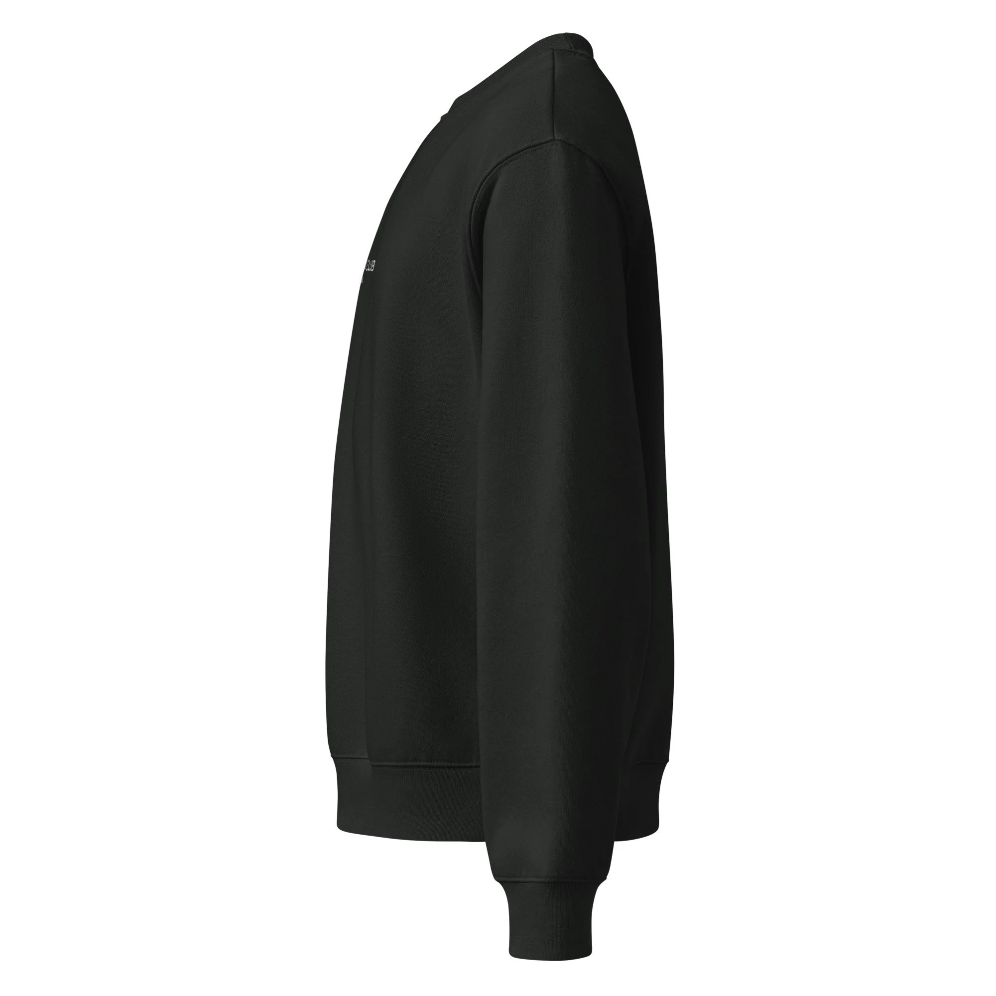 unisex-oversized-heavyweight-sweatshirt-vintage-black-left-68c1a425ee800.jpg