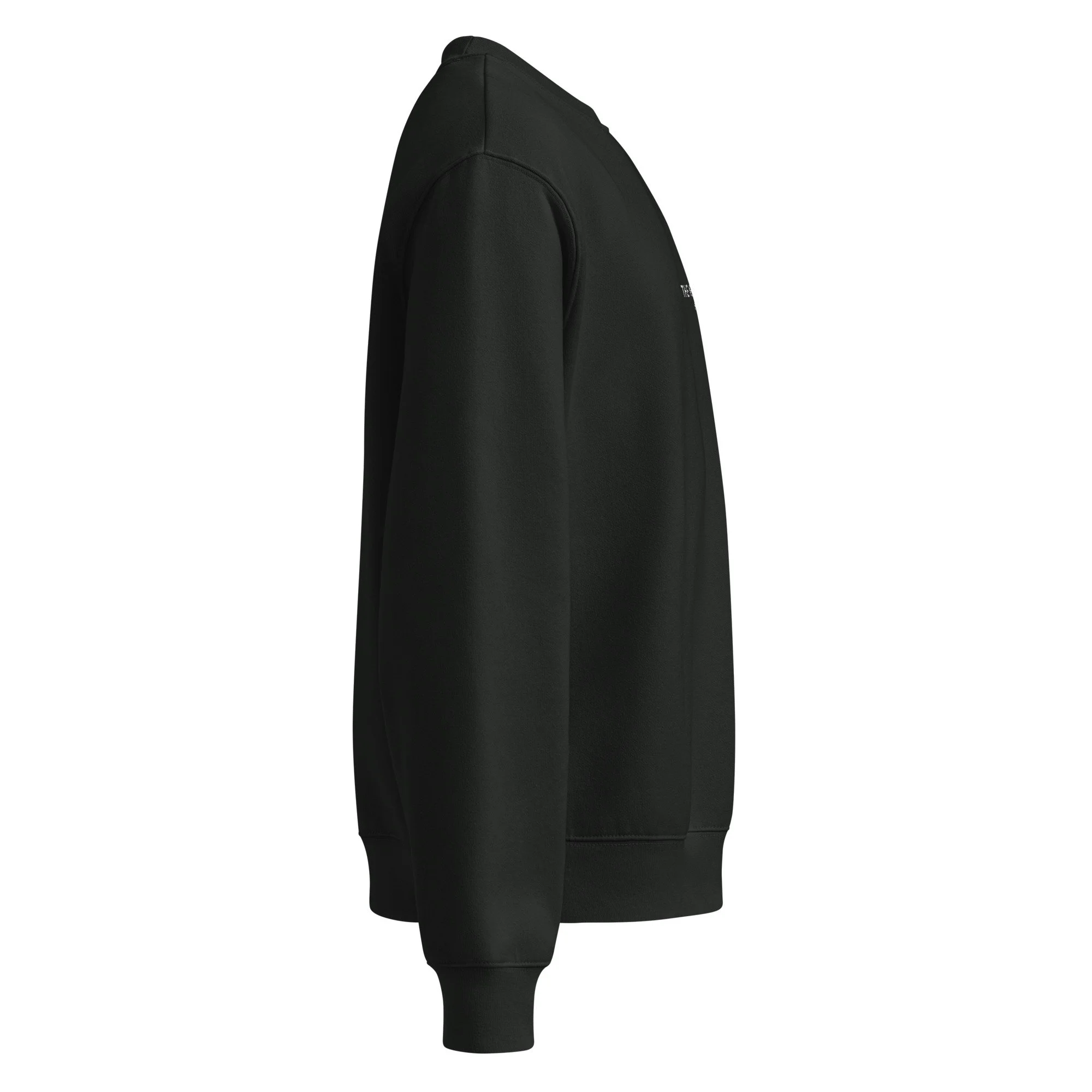 unisex-oversized-heavyweight-sweatshirt-vintage-black-right-68c1a425ee9a8.jpg