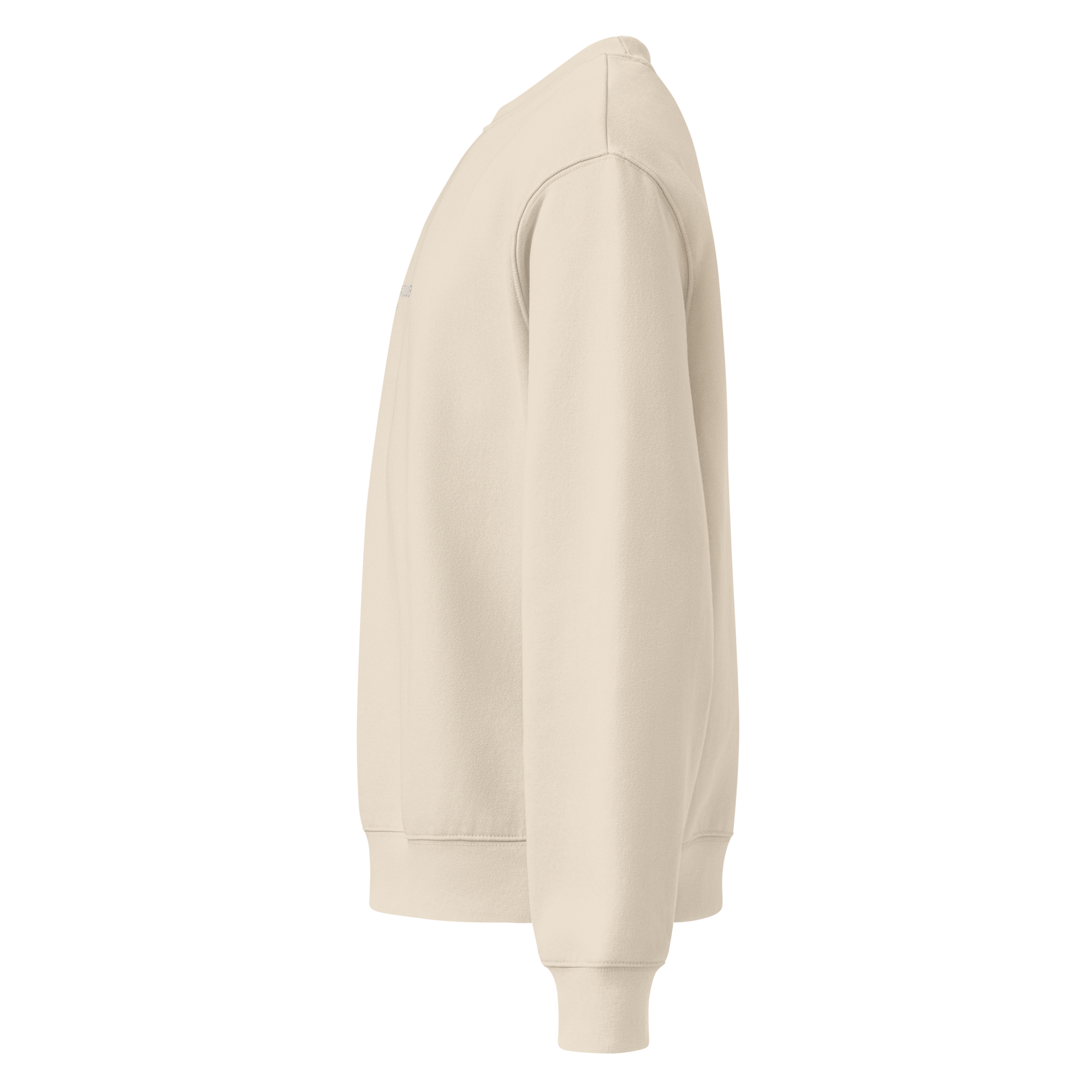 unisex-oversized-heavyweight-sweatshirt-dust-left-68c1a3fbb7525.png