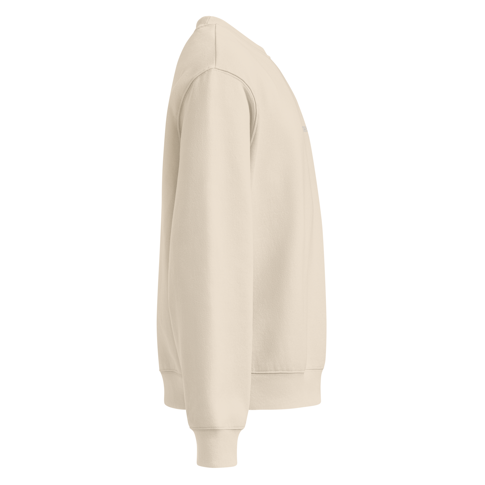 unisex-oversized-heavyweight-sweatshirt-dust-right-68c1a3fbb7c9f.png
