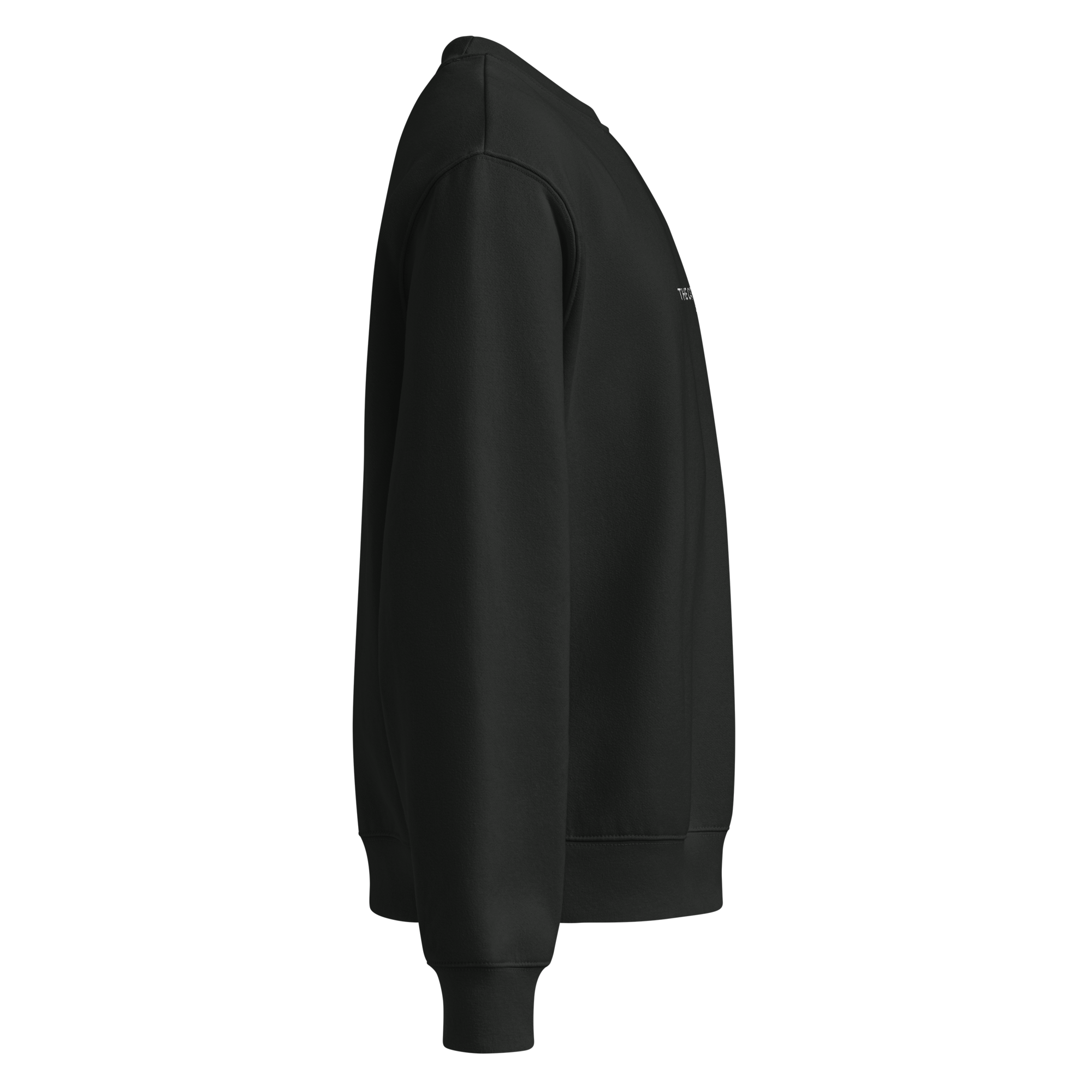 unisex-oversized-heavyweight-sweatshirt-vintage-black-right-68c1a52069fc2.png