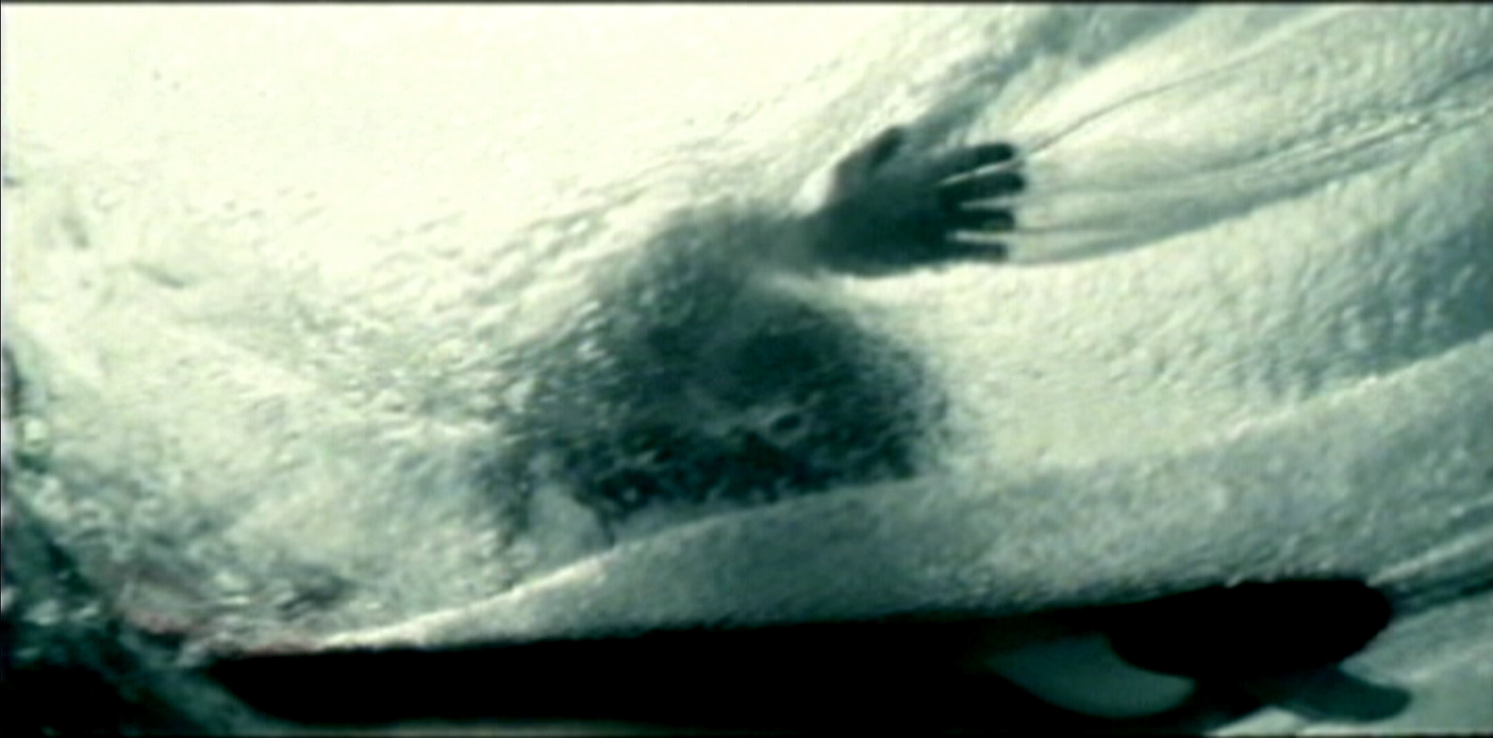surf.jpg