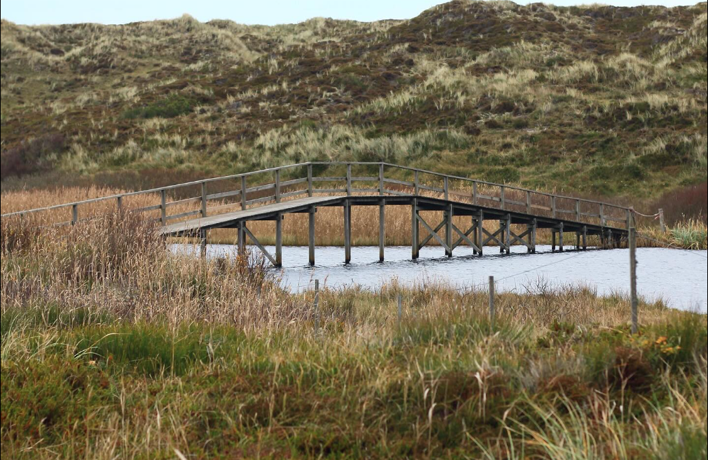 Referat fra generalforsamling 2026