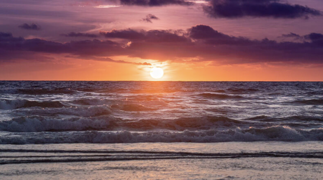 Nyhedsbrev november 2025 