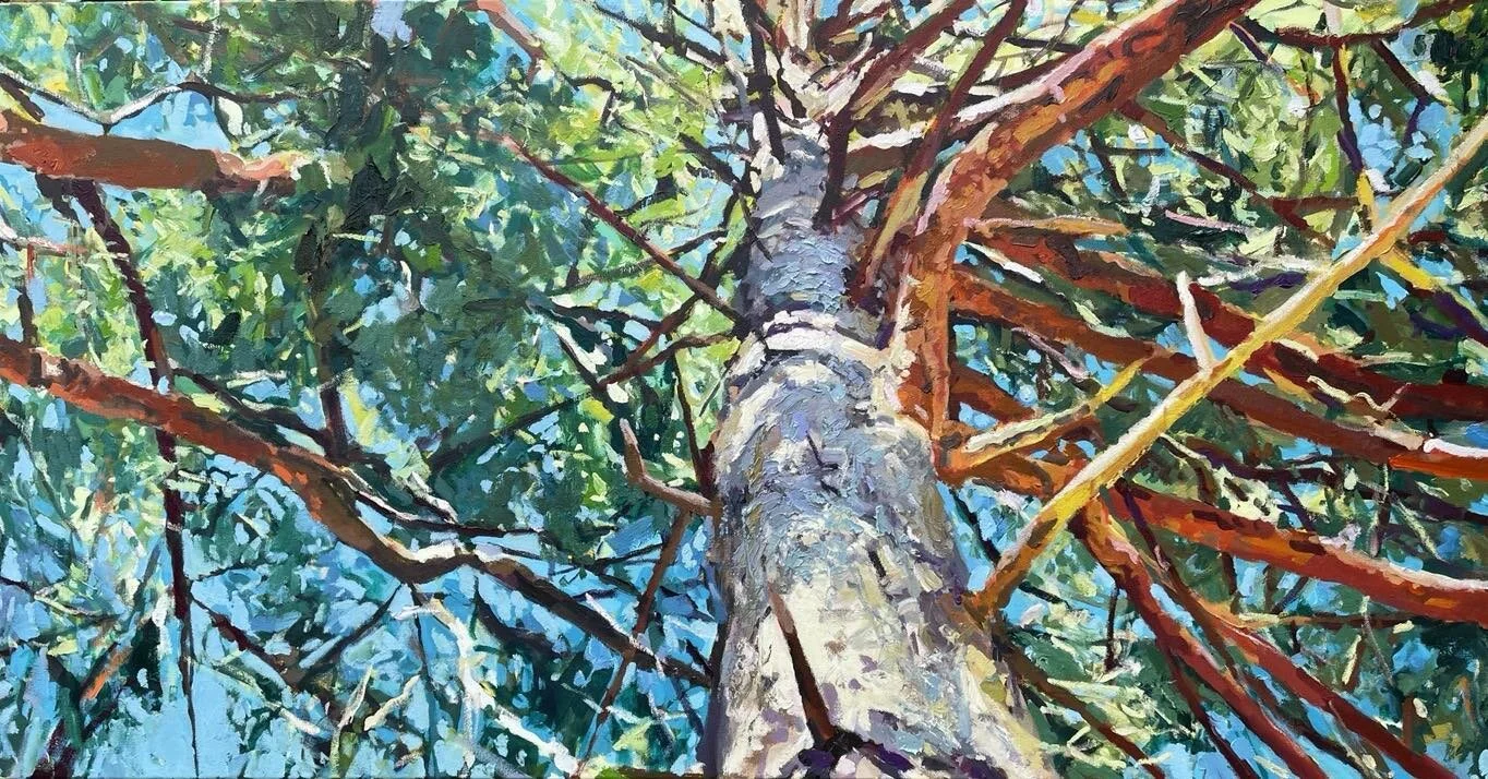 'Vertical Time VI' Acrylic and Oil Paint on canvas, 122 x 61 cms #contemporarypainting #contemporaryart #contemporarylandscape #contemporarylandscapepainting #contemporarylandscapepaintings #woodland #trees #dorset #dorsetartists #dorsetartist #arne