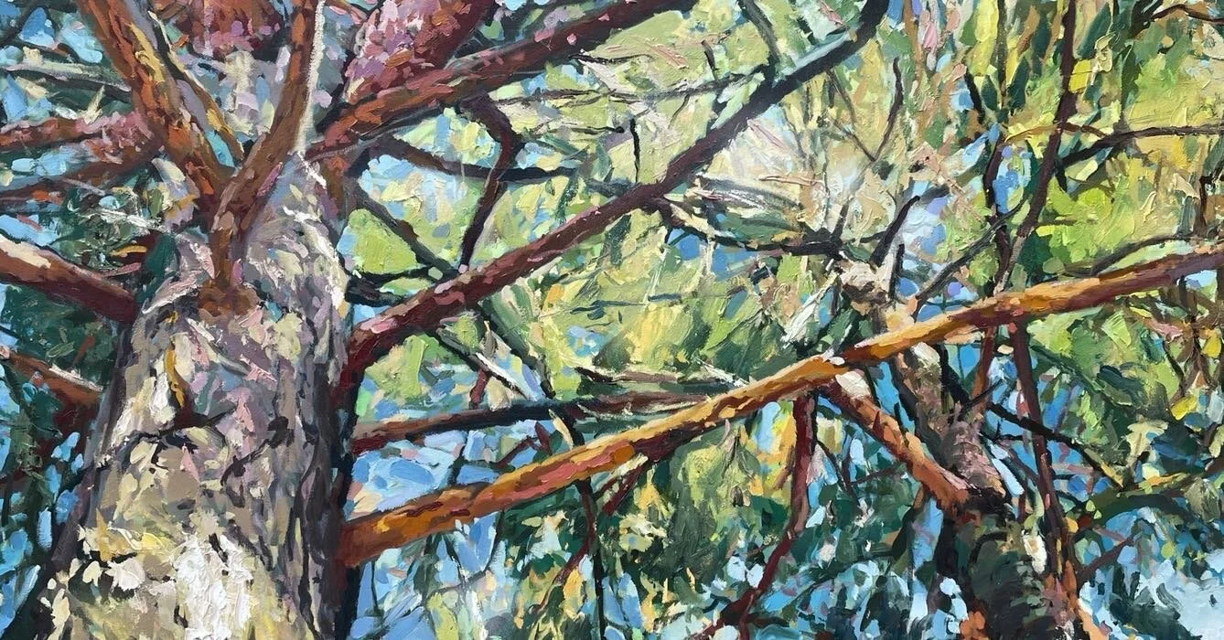 Vertical Time VII Mixed media on canvas, 122 x 61 cms #pine #woodland #trees #treesofinstagram #treesarelife #light #colorful #colour #arne #dorset #dorsetartist #dorsetart #painting #contemporaryart #landscape #landscapepainting #verticaltime #conte
