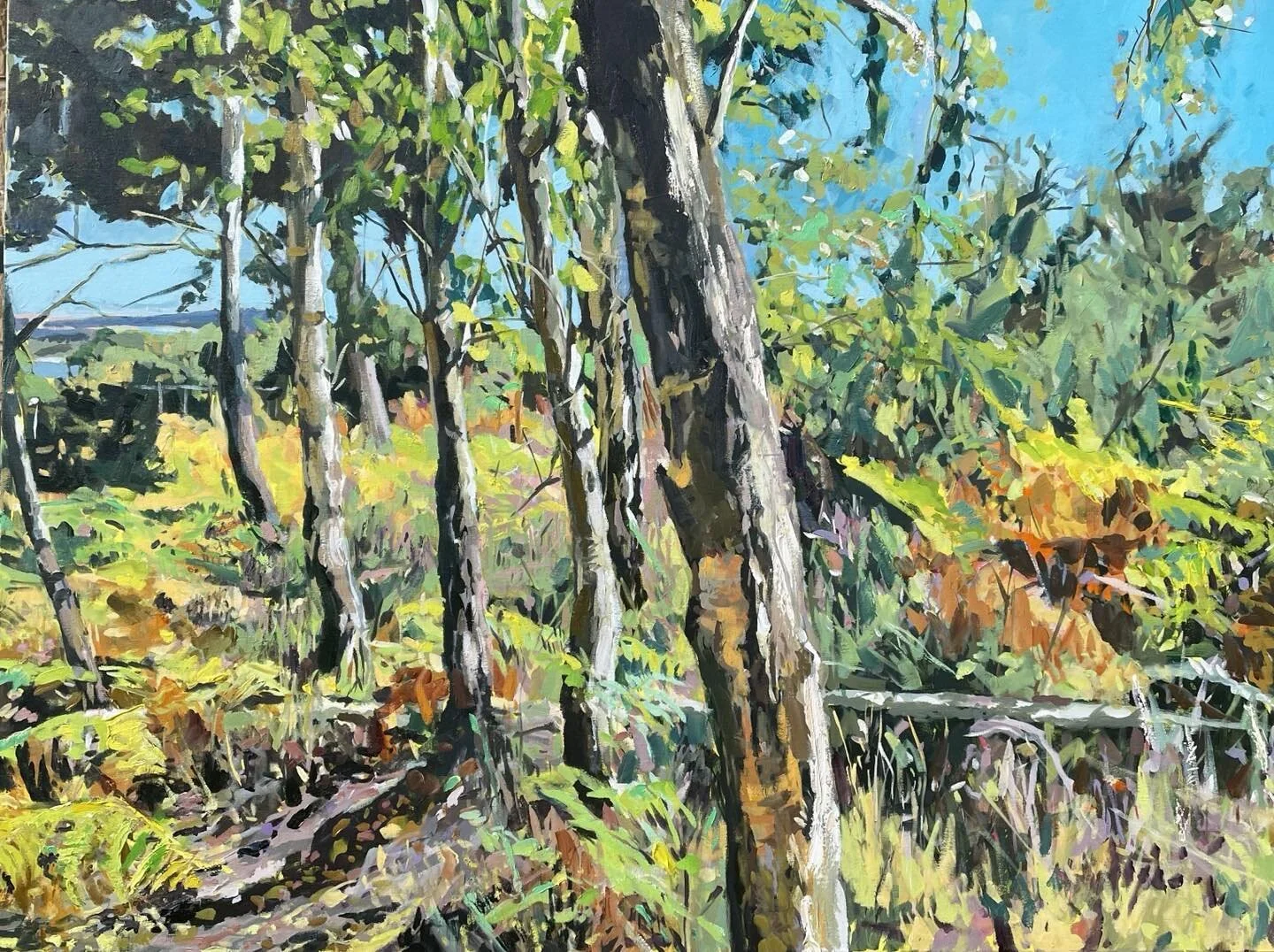 Arne: late Summer, Acrylic & Oil paint on canvas, 91 x 122 cms #dorset #dorsecoast #woodland #trees #light #colour #contemporarypainting #contemporary artist #contemporarylandscape #contemporarylandscapepaintings #contemporarylandscapeartist #art