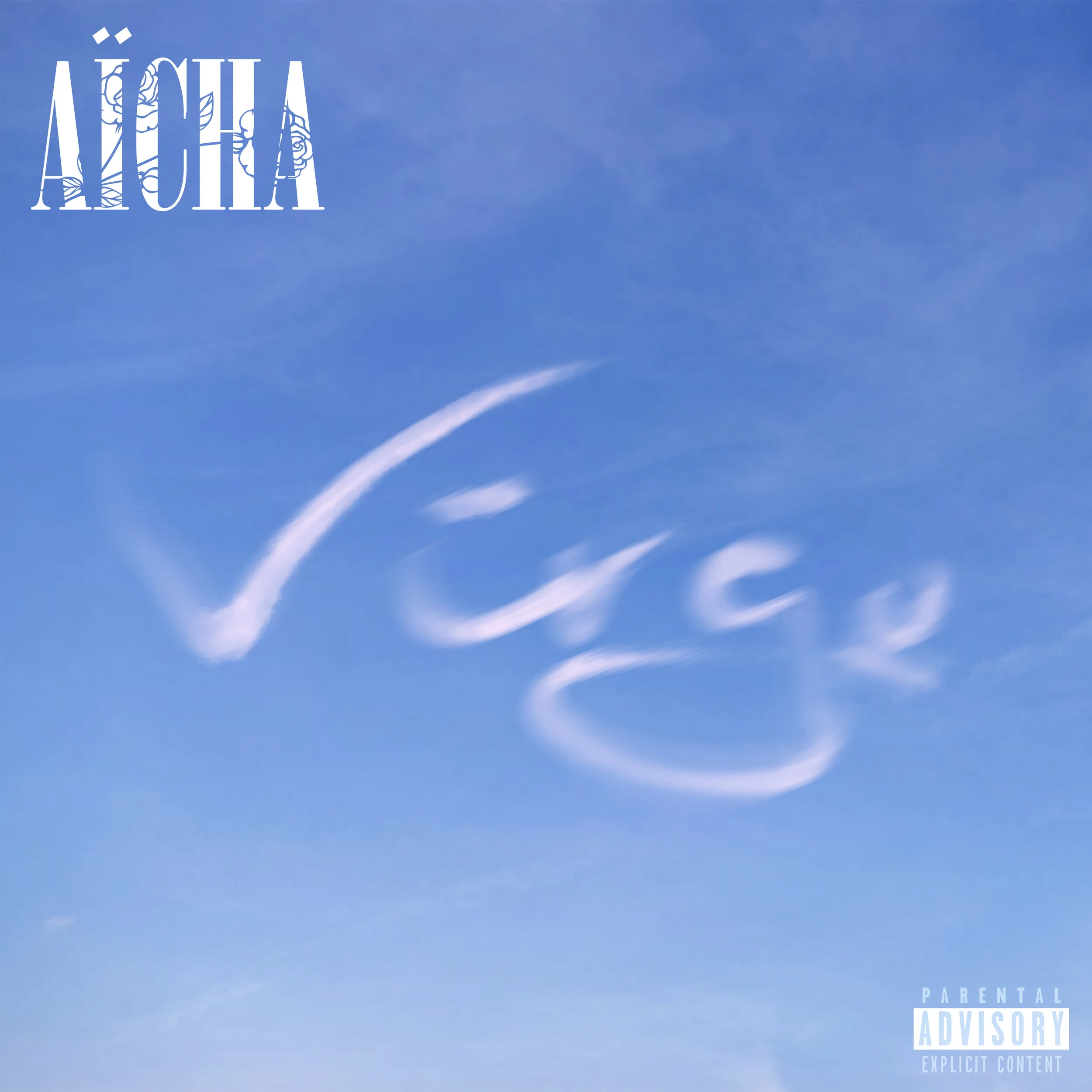 VIRGO_ALBUMART_V2.jpg
