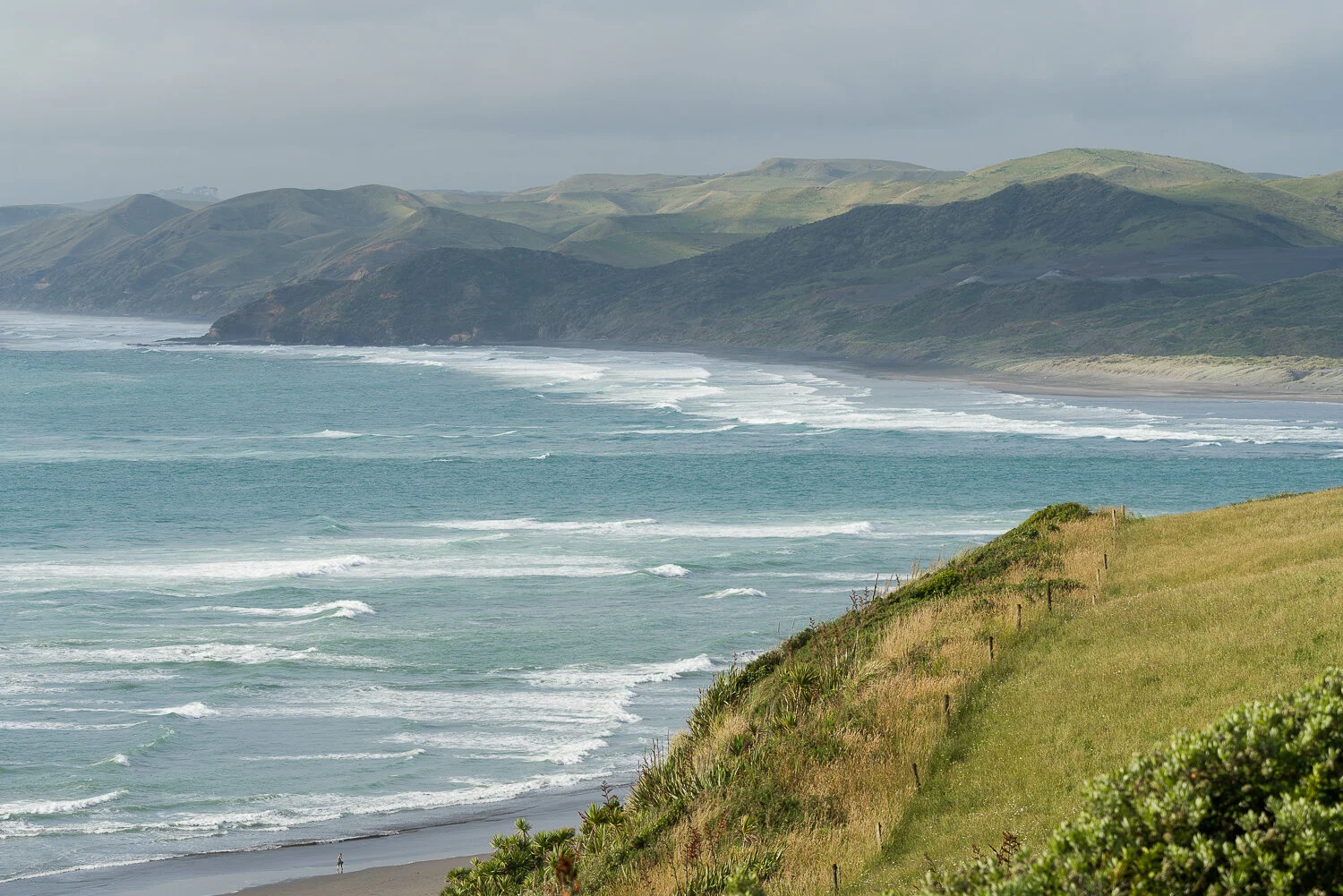 Waikato Coast