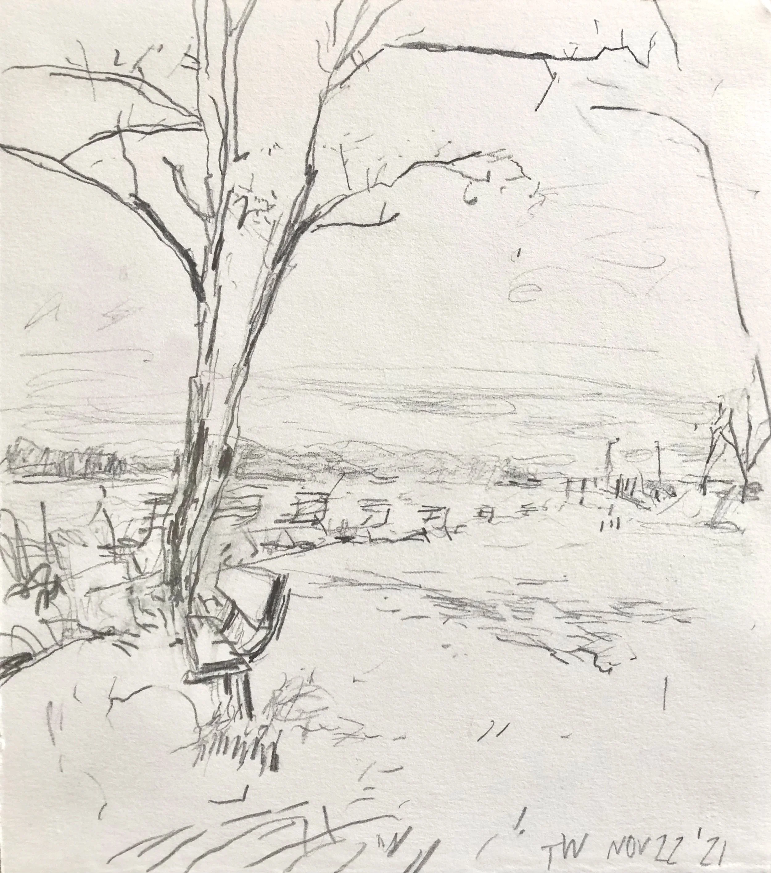 Hudson River Bank, pencil on paper, 9" x 8"