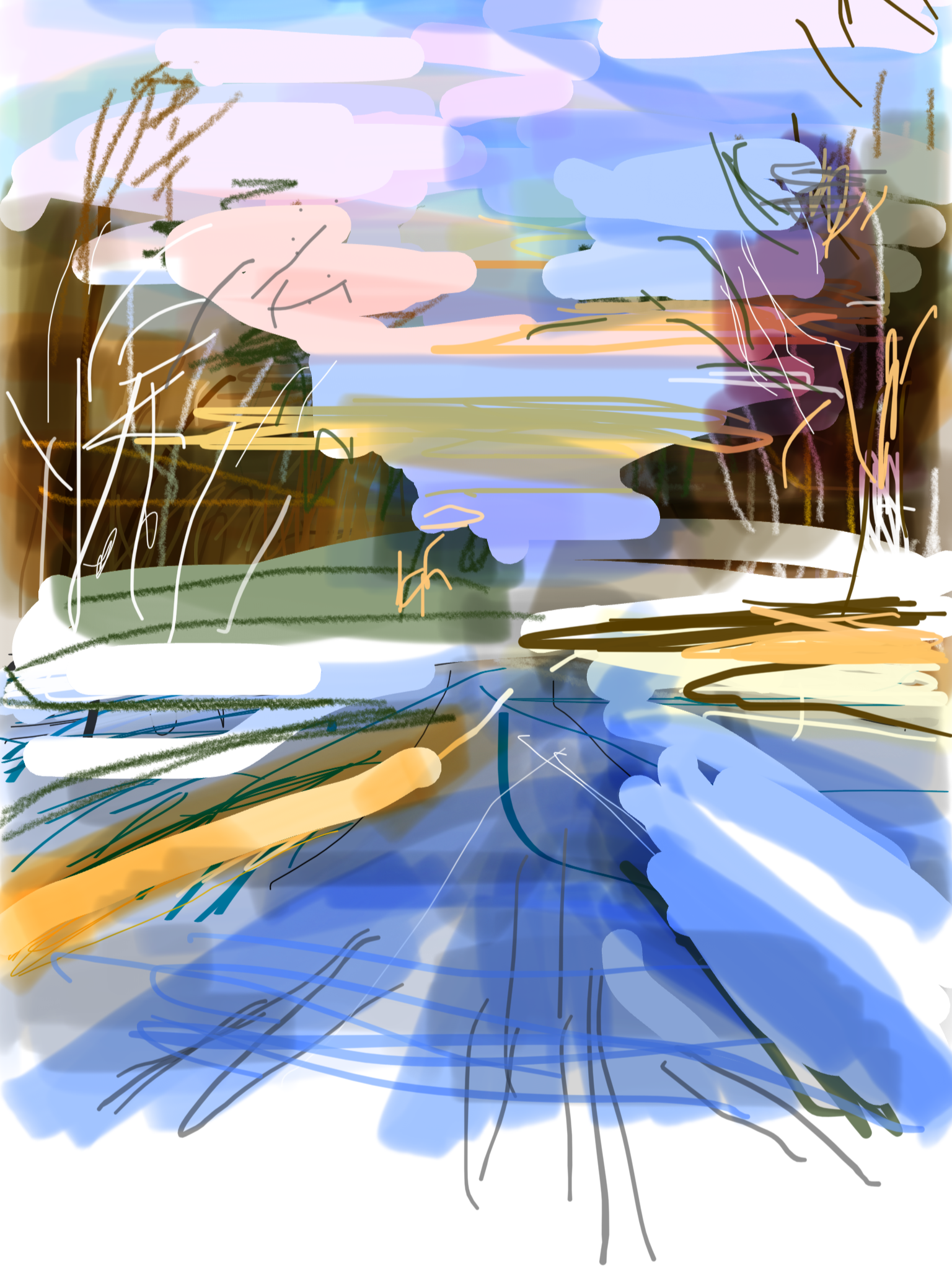 IMG_1266.png