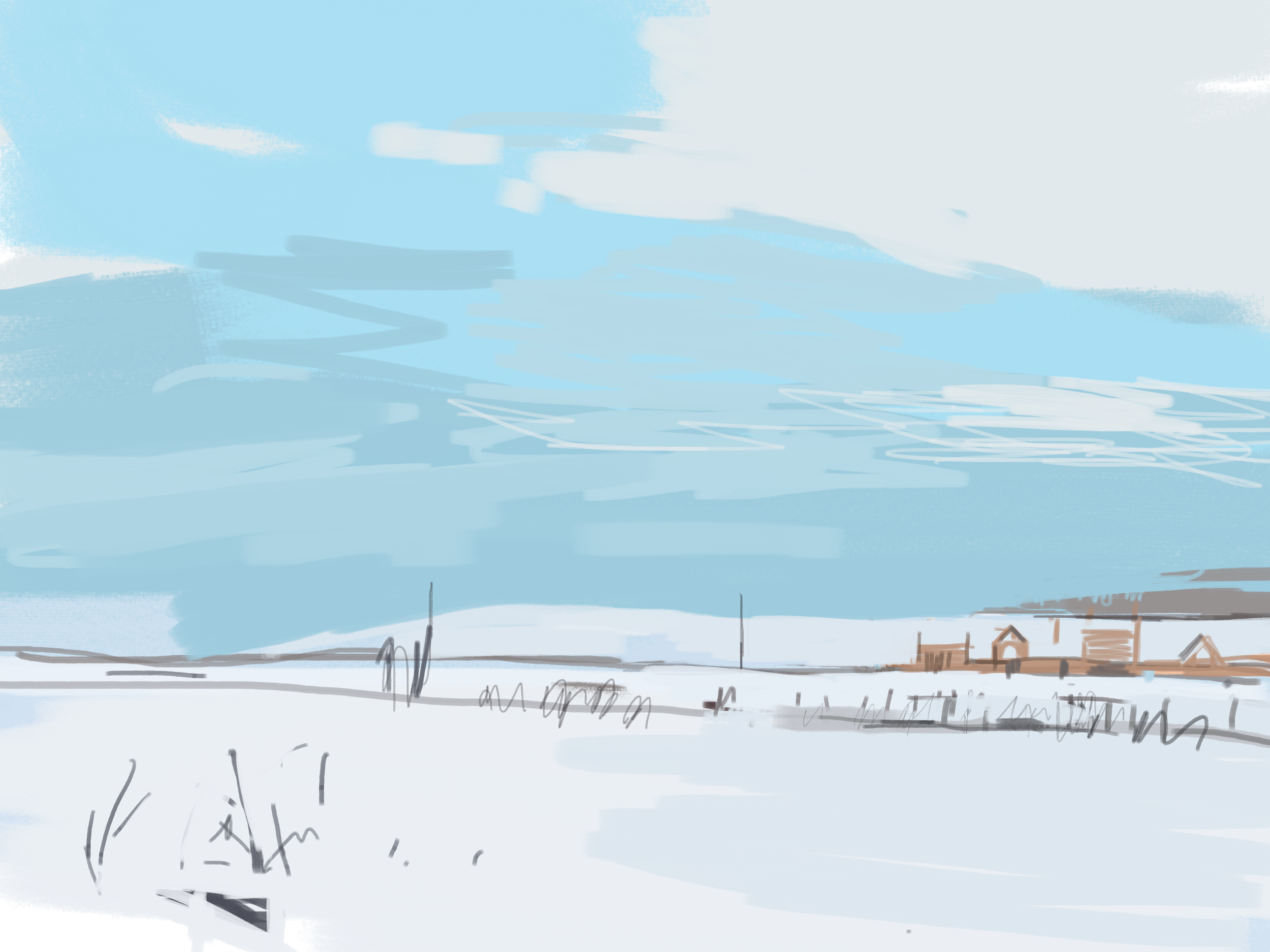 IMG_6241.PNG