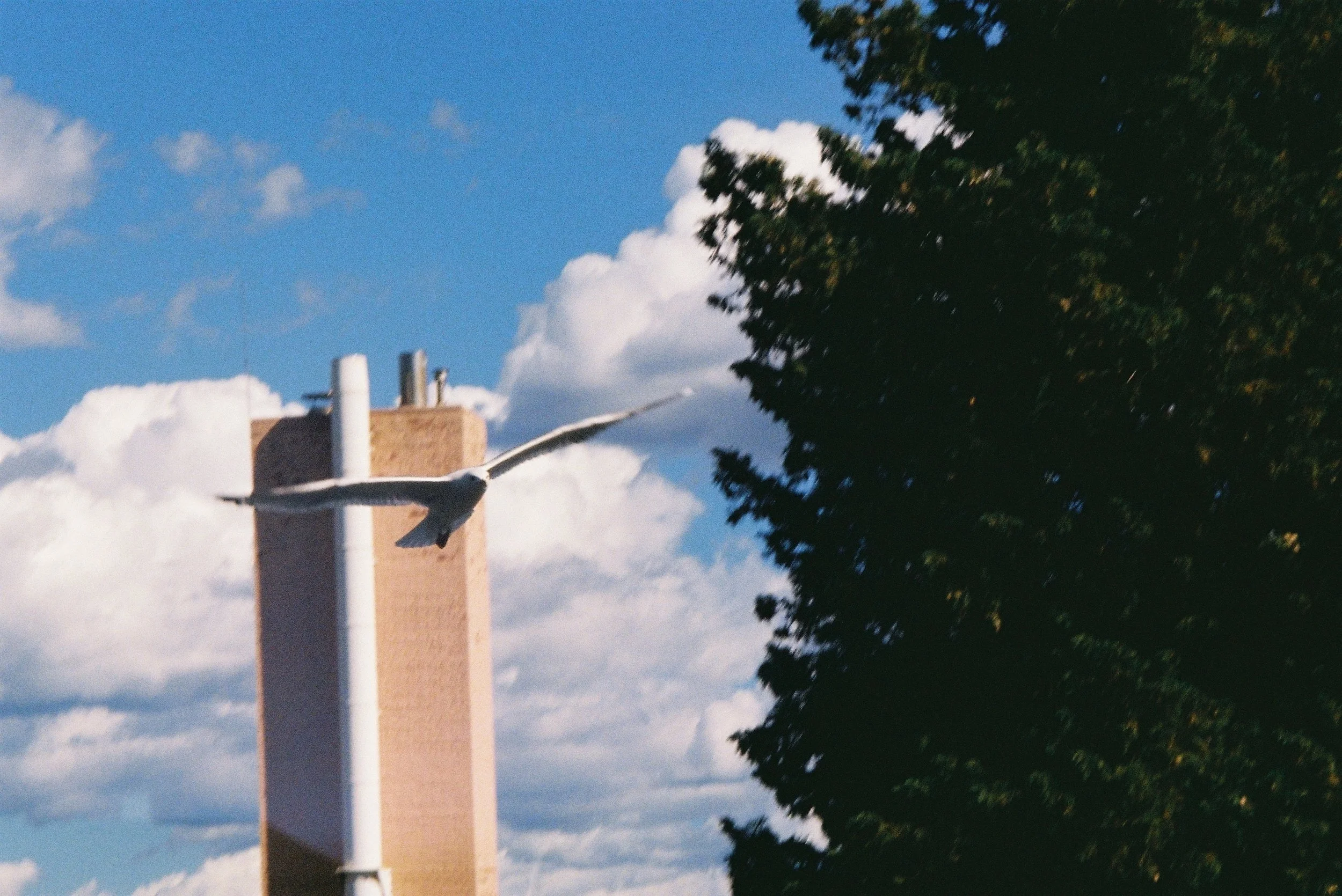 Every time I go to sleep 