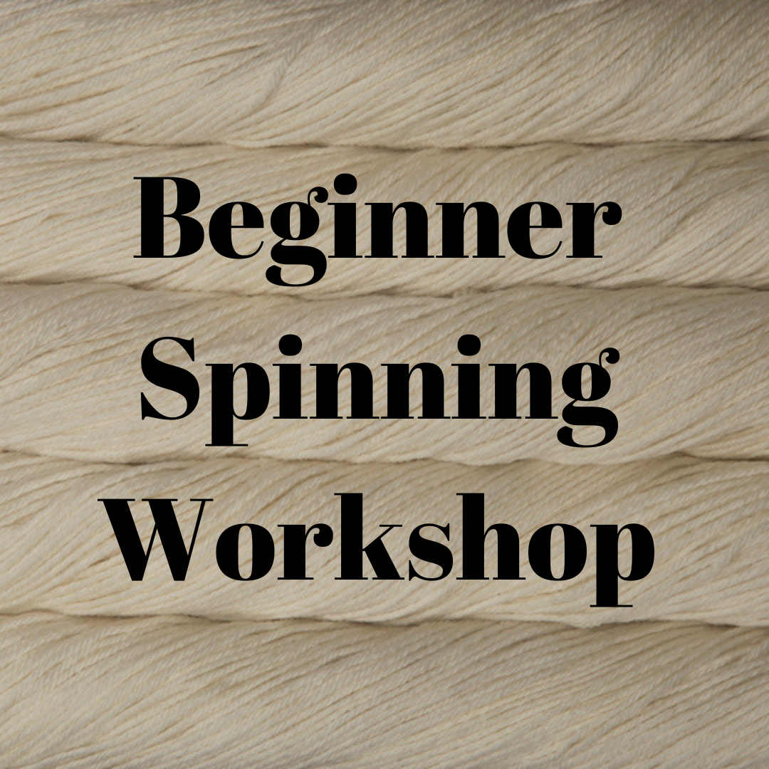 Beginner Spinning Workshop.png