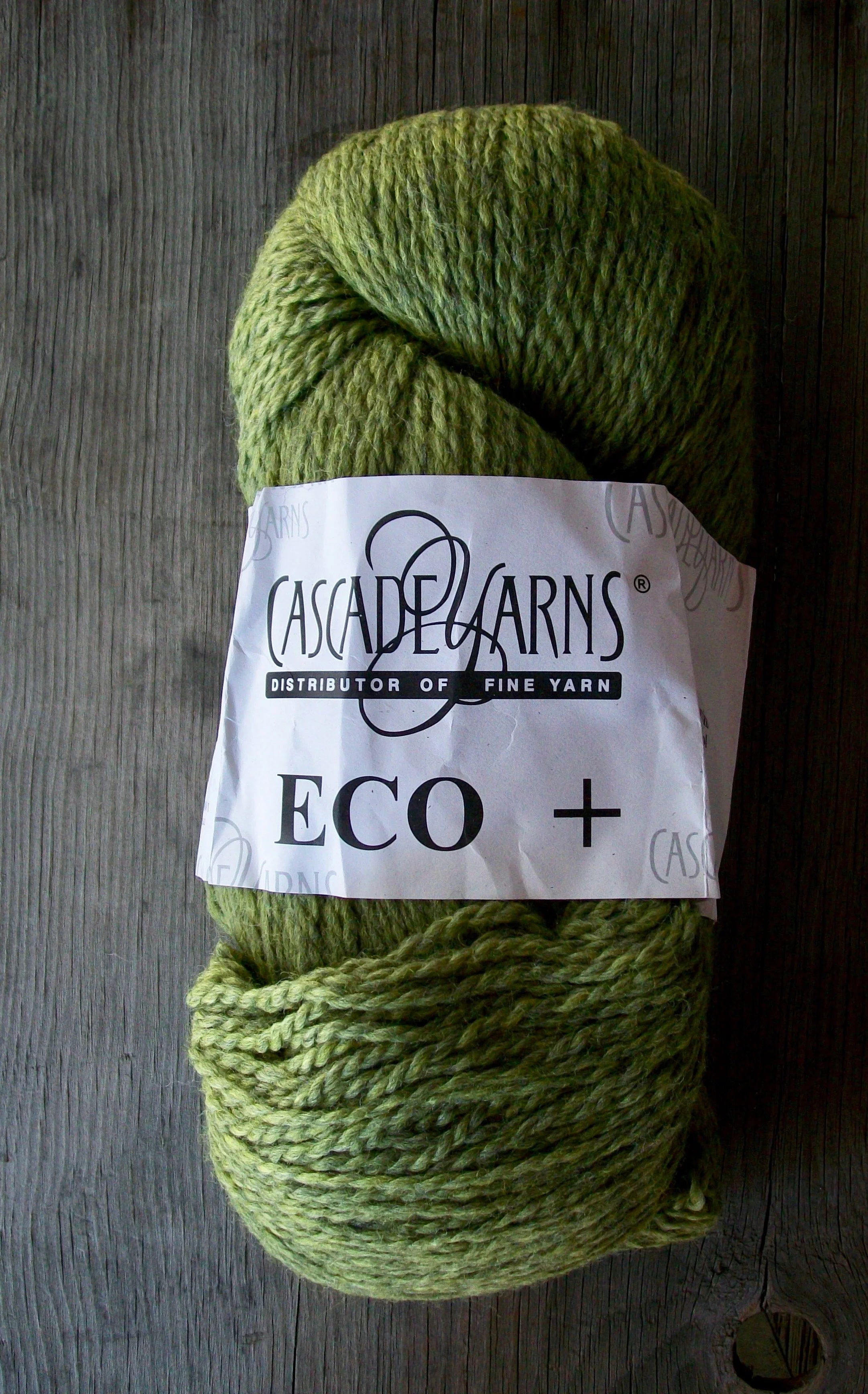 Eco+ turtle.jpg